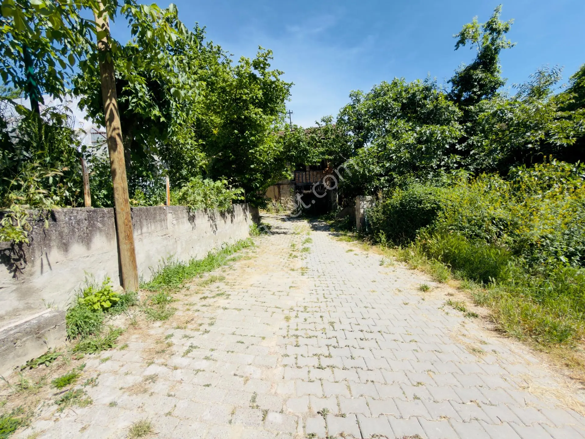 Wisrem Safranboludan Cemalcaymazda Muazzam Lokasyonlu Arsa — fotoğraf 6