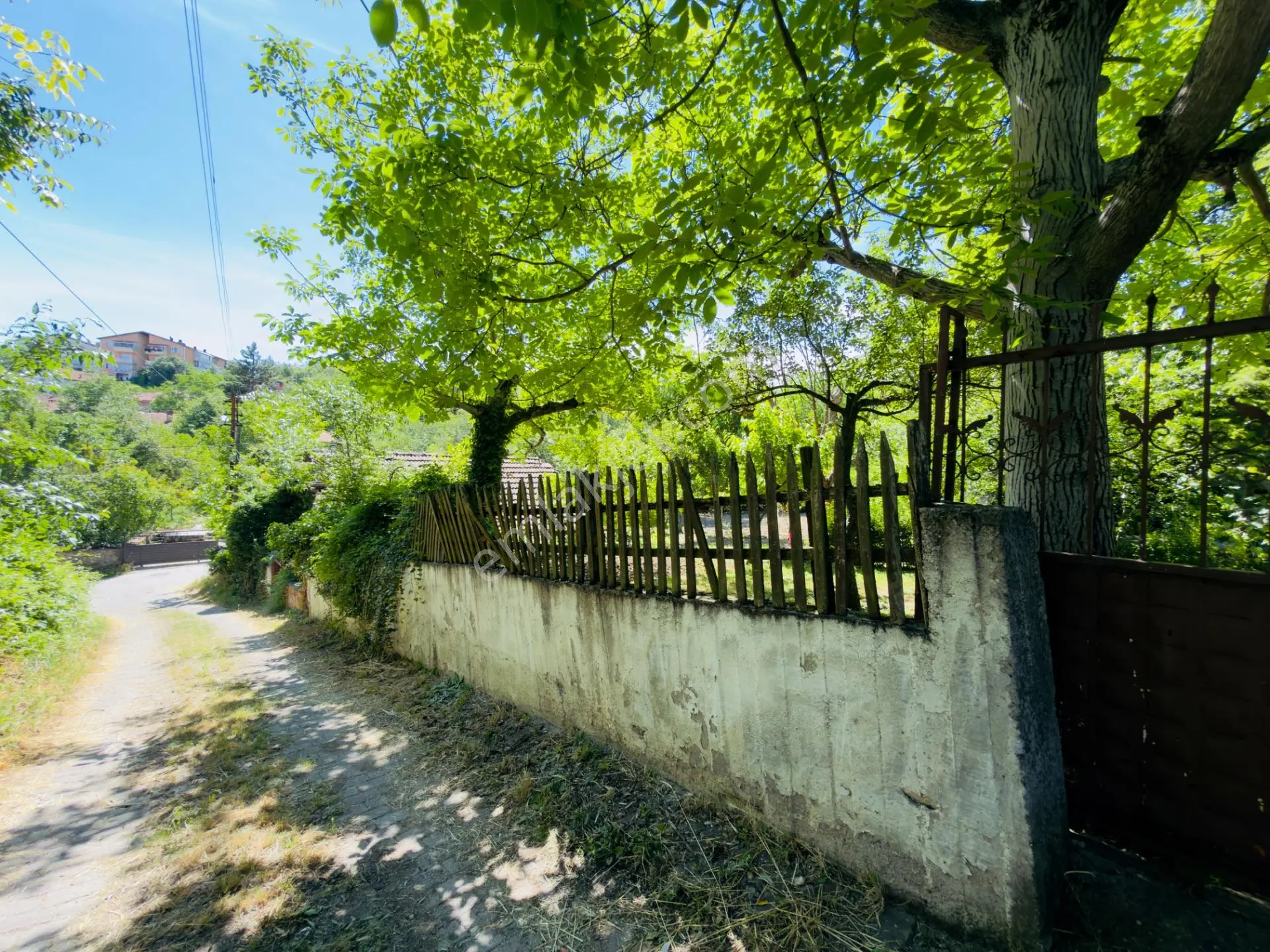 Wisrem Safranboludan Cemalcaymazda Muazzam Lokasyonlu Arsa — fotoğraf 12