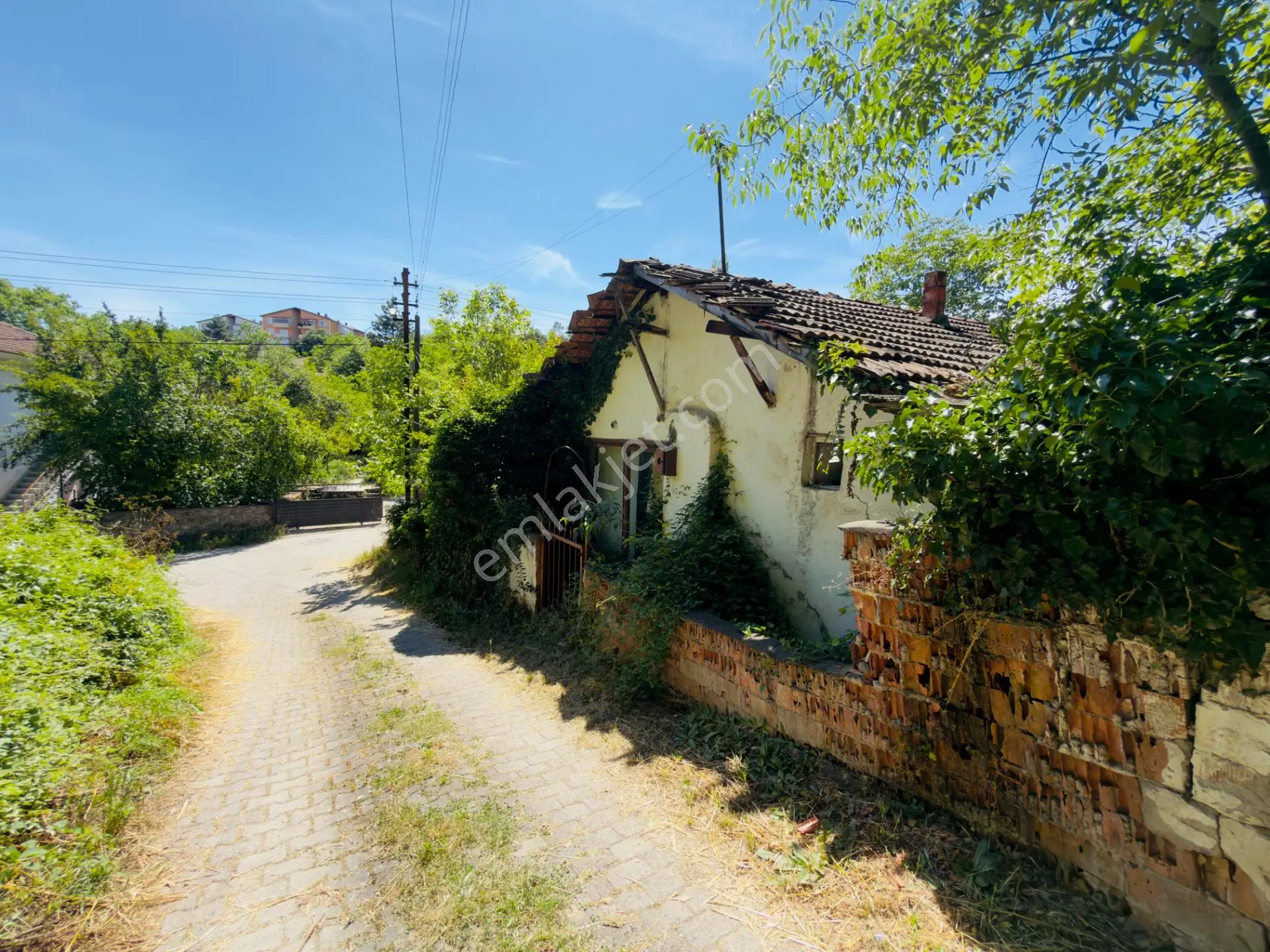 Wisrem Safranboludan Cemalcaymazda Muazzam Lokasyonlu Arsa — fotoğraf 14