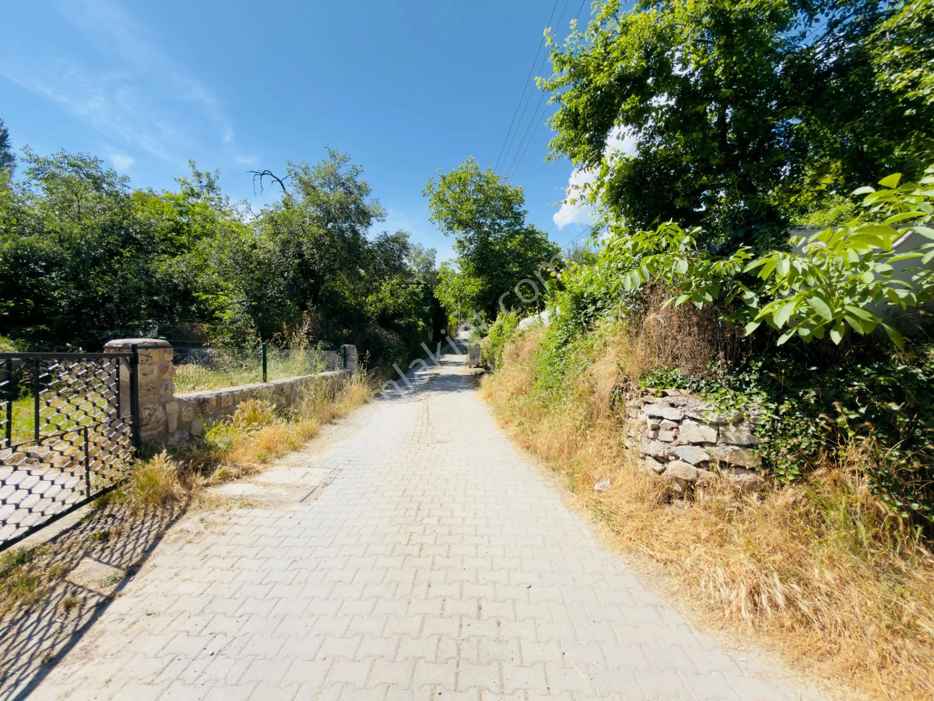 Wisrem Safranboludan Cemalcaymazda Muazzam Lokasyonlu Arsa — fotoğraf 16