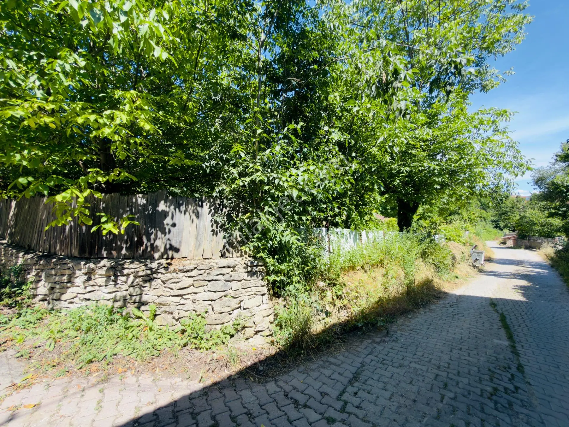 Wisrem Safranboludan Cemalcaymazda Muazzam Lokasyonlu Arsa — fotoğraf 18