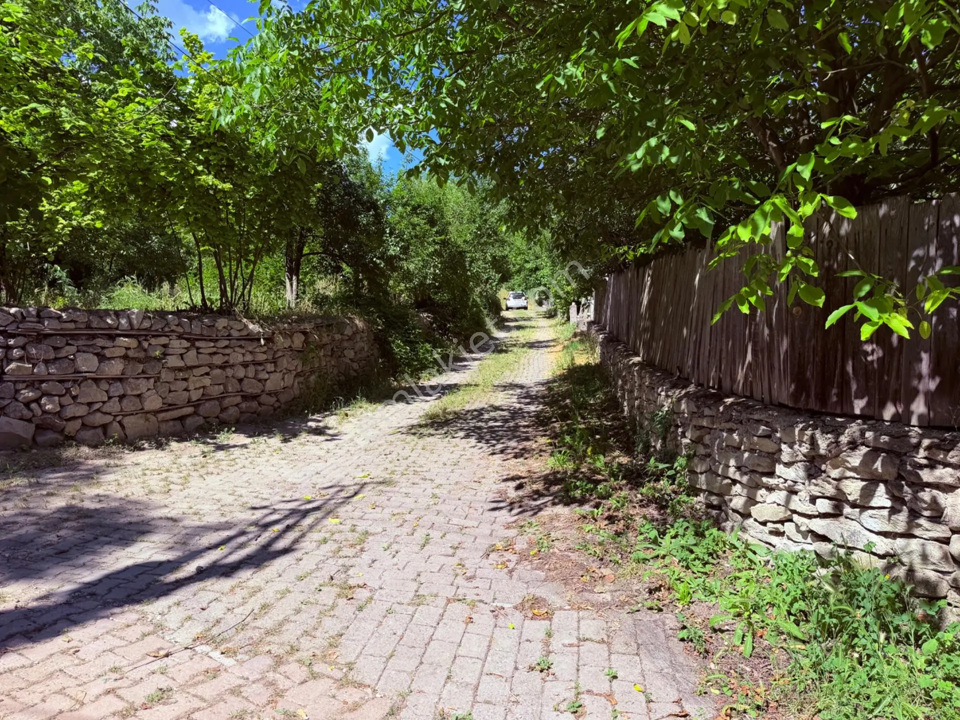 Wisrem Safranboludan Cemalcaymazda Muazzam Lokasyonlu Arsa — fotoğraf 19