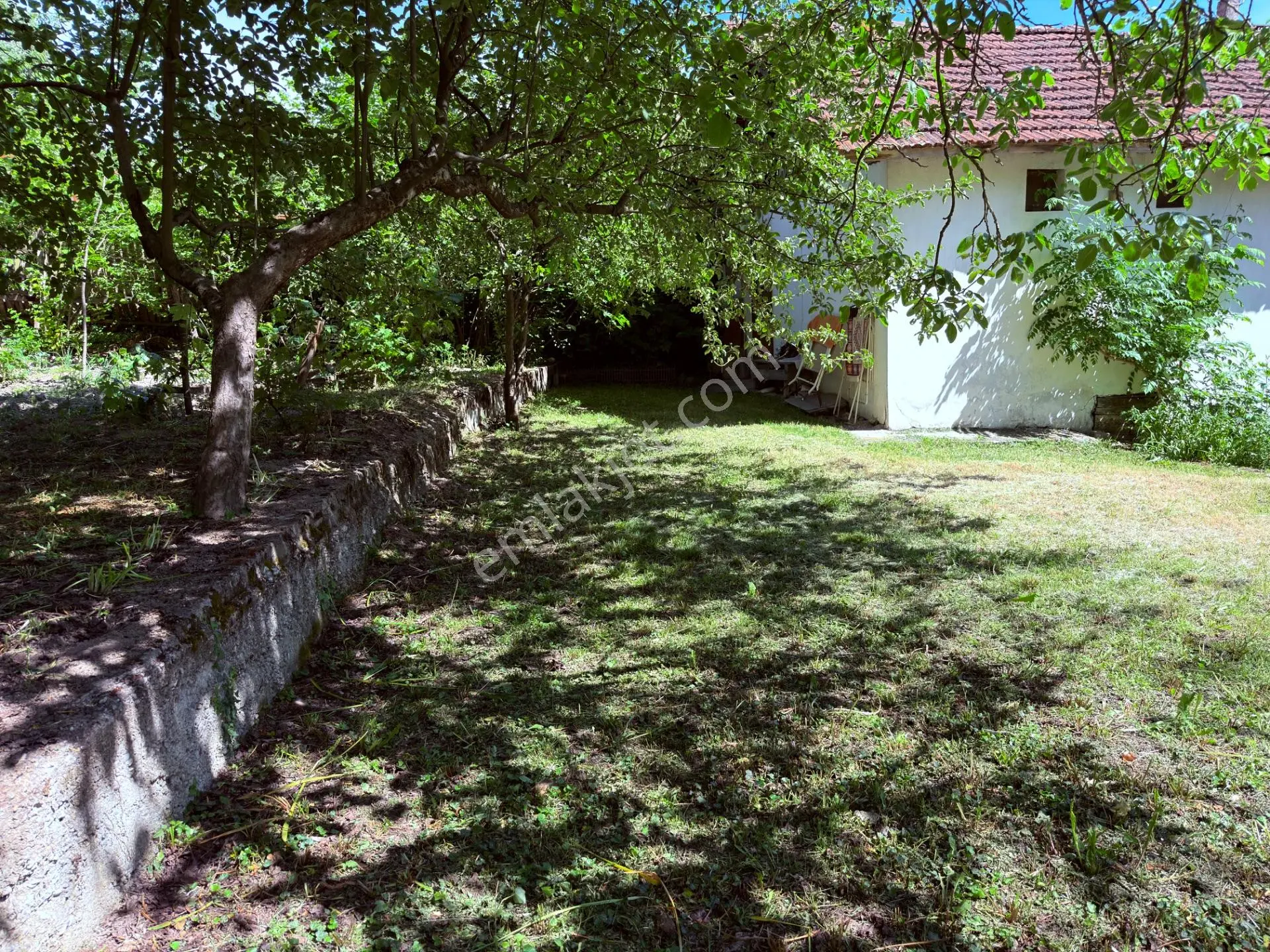 Wisrem Safranboludan Cemalcaymazda Muazzam Lokasyonlu Arsa — fotoğraf 47