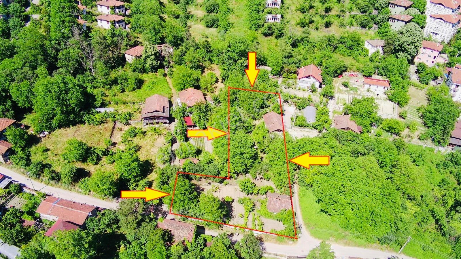 Wisrem Safranboludan Cemalcaymazda Muazzam Lokasyonlu Arsa — fotoğraf 49
