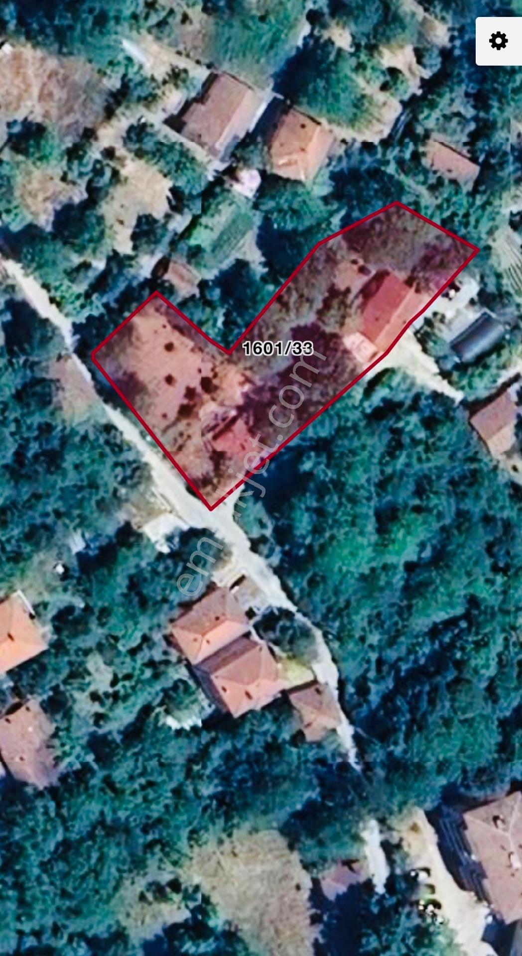 Wisrem Safranboludan Cemalcaymazda Muazzam Lokasyonlu Arsa — fotoğraf 52