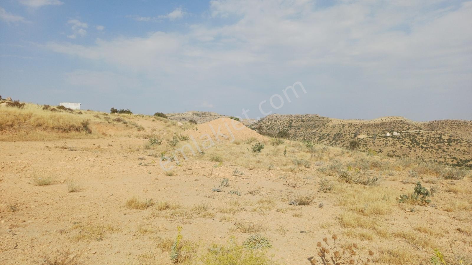 Hamzabey Zınnarda Satılık 2045 M' Hissseli En Tepe Konum Villalı — fotoğraf 21