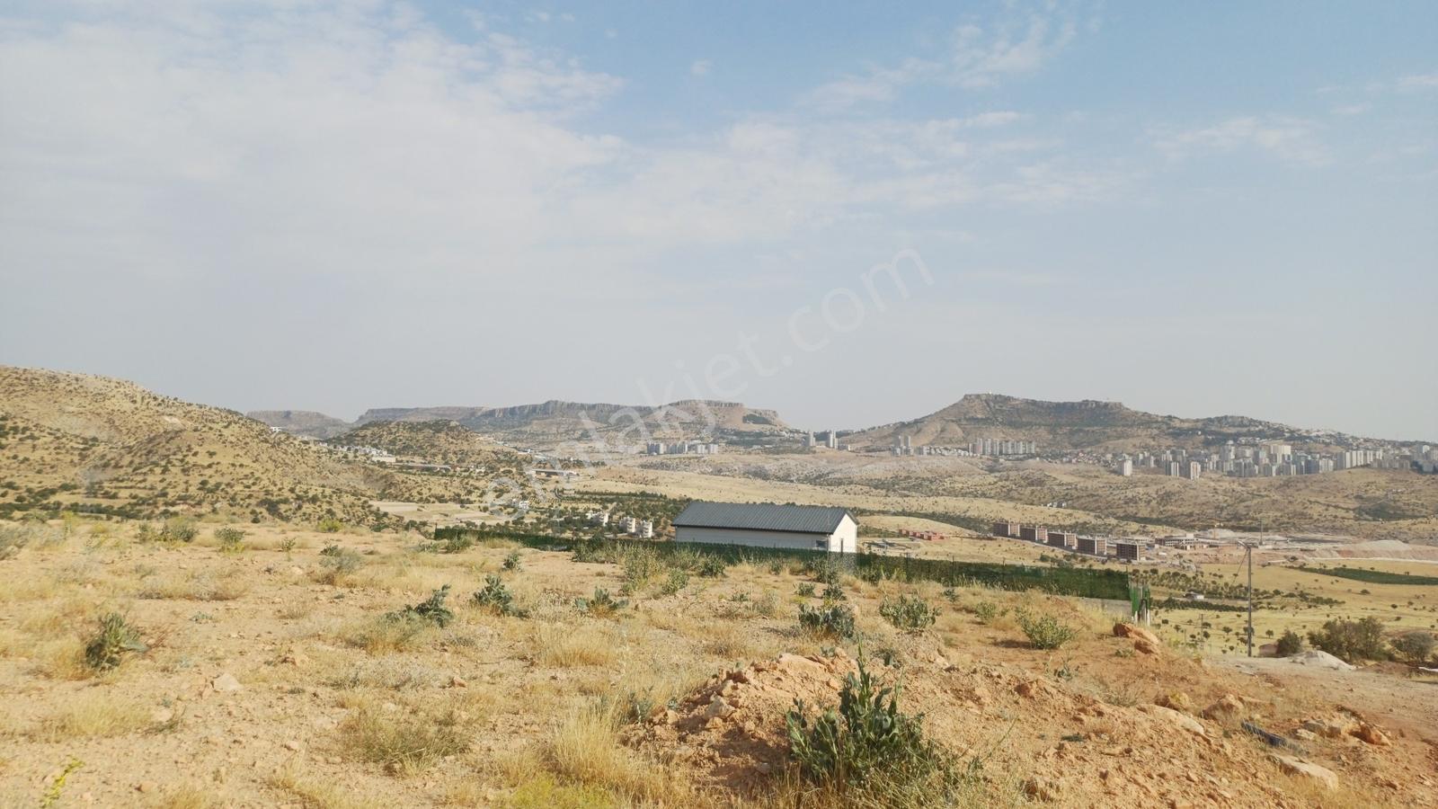 Hamzabey Zınnarda Satılık 2045 M' Hissseli En Tepe Konum Villalı — fotoğraf 22
