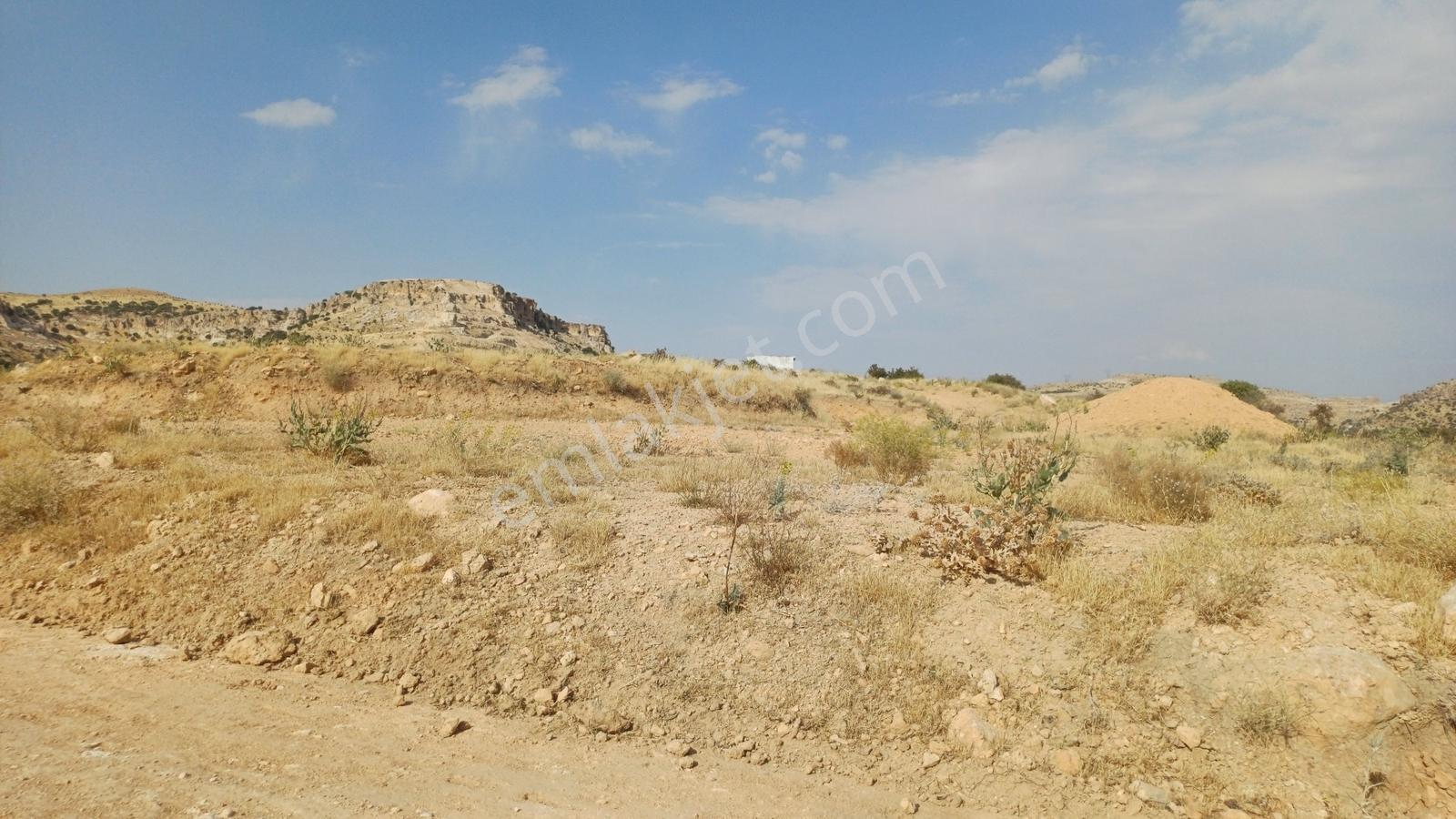 Hamzabey Zınnarda Satılık 2045 M' Hissseli En Tepe Konum Villalı — fotoğraf 23