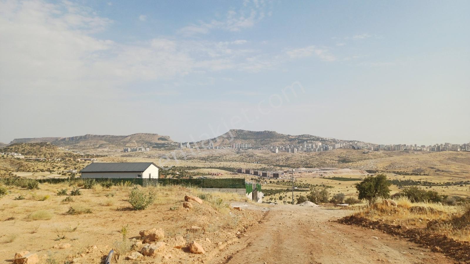 Hamzabey Zınnarda Satılık 2045 M' Hissseli En Tepe Konum Villalı — fotoğraf 24