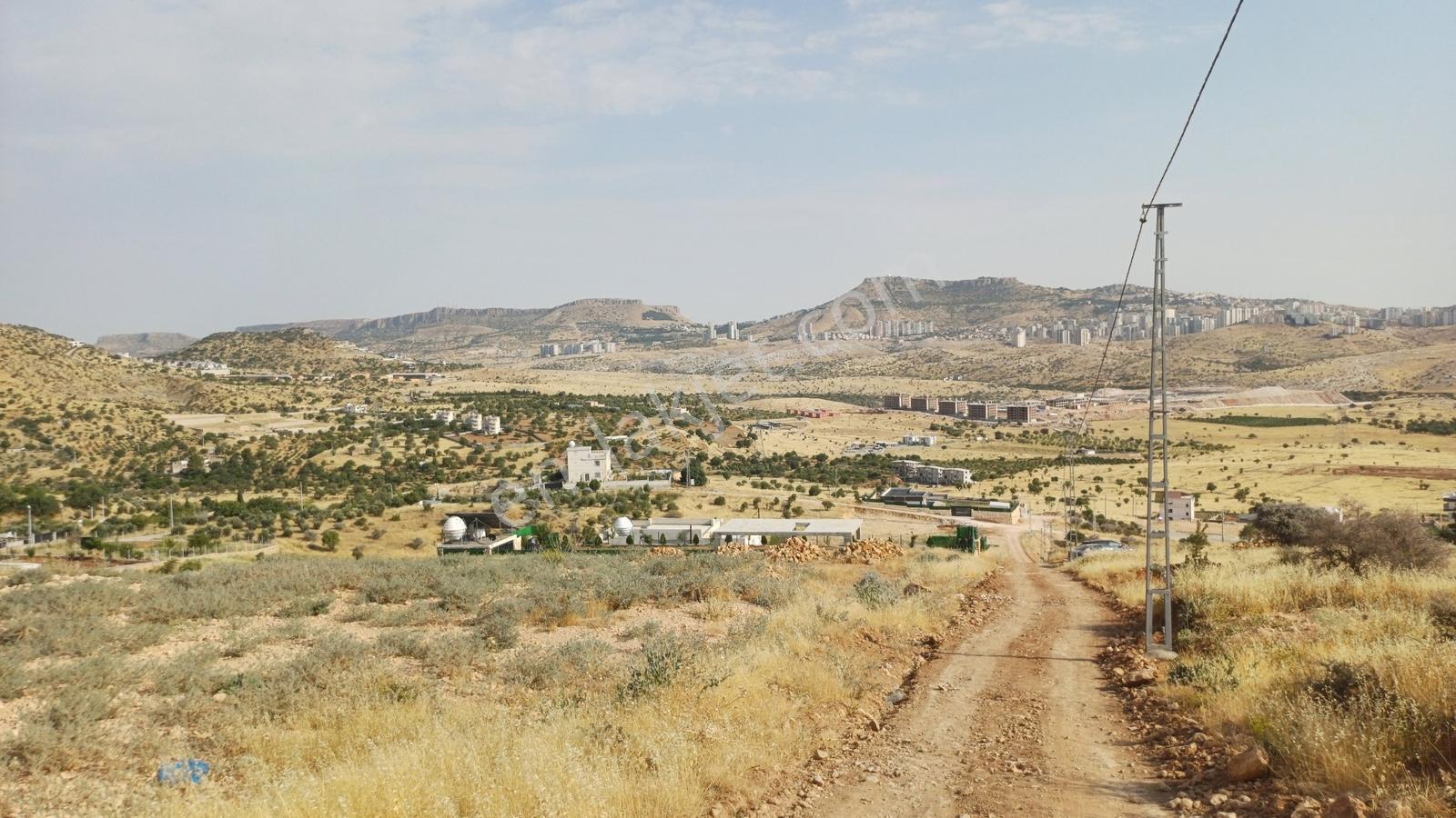 Hamzabey Zınnarda Satılık 2045 M' Hissseli En Tepe Konum Villalı — fotoğraf 28
