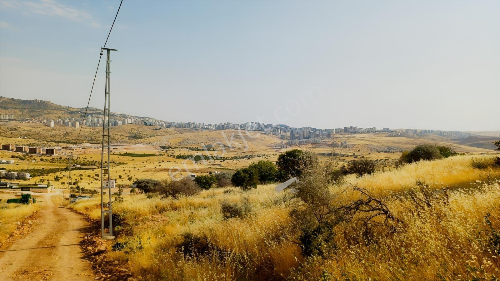 Hamzabey Zınnarda Satılık 2045 M' Hissseli En Tepe Konum Villalı — fotoğraf 31