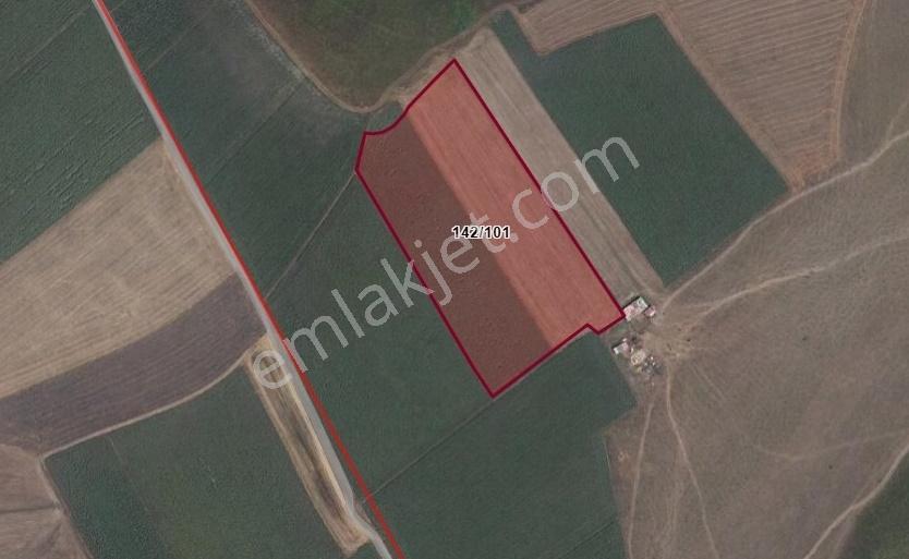 Weewden Saray Göçerlerde Meraya Cephe 14.323 M² Verimli Tarla — fotoğraf 2