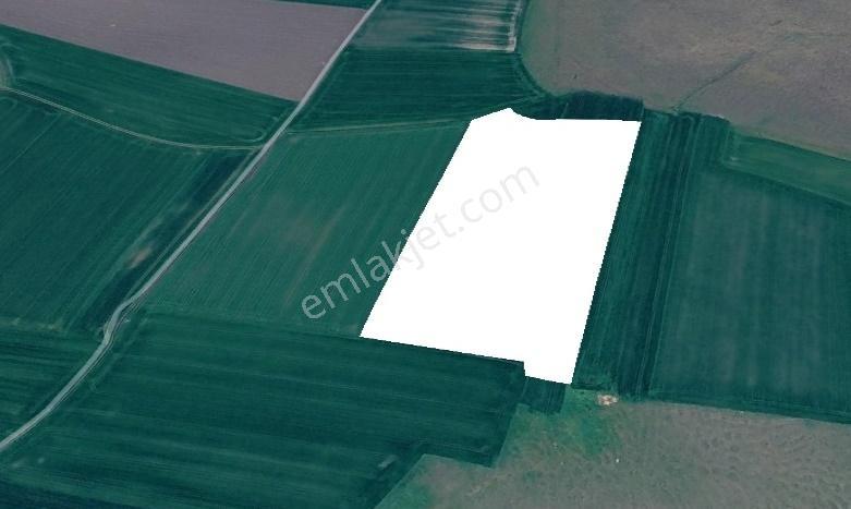 Weewden Saray Göçerlerde Meraya Cephe 14.323 M² Verimli Tarla — fotoğraf 5
