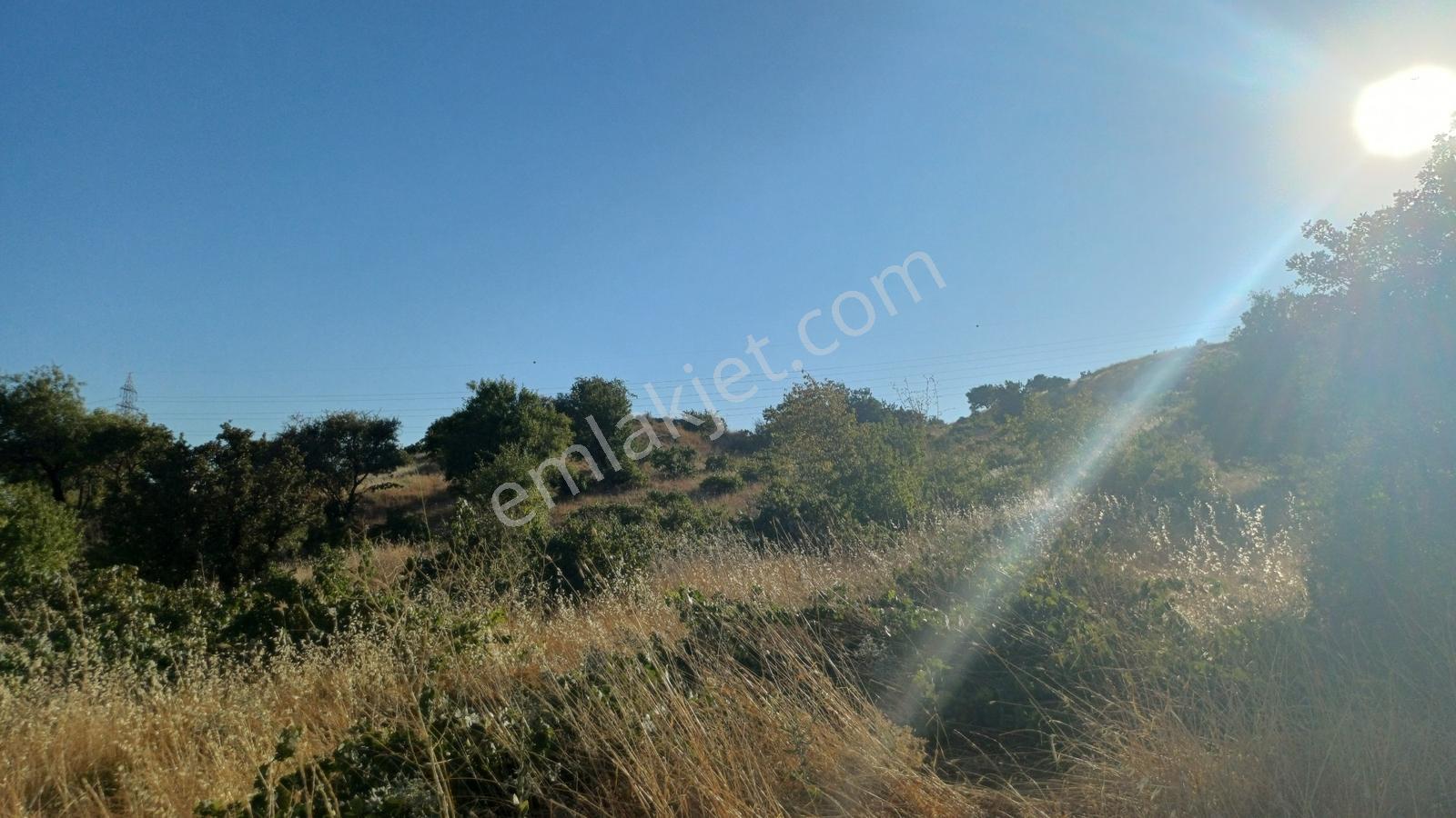 İzzetpaşa Yakını Satılık Müstakil Parsel — fotoğraf 2