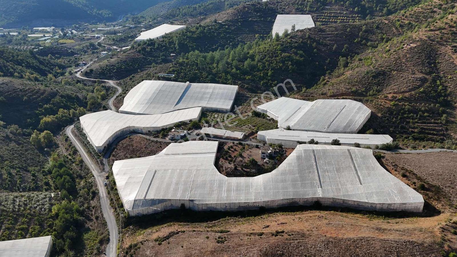 Alanya Gazipaşa 40 Dönüm Satılık Sera Ve Tarla — fotoğraf 3