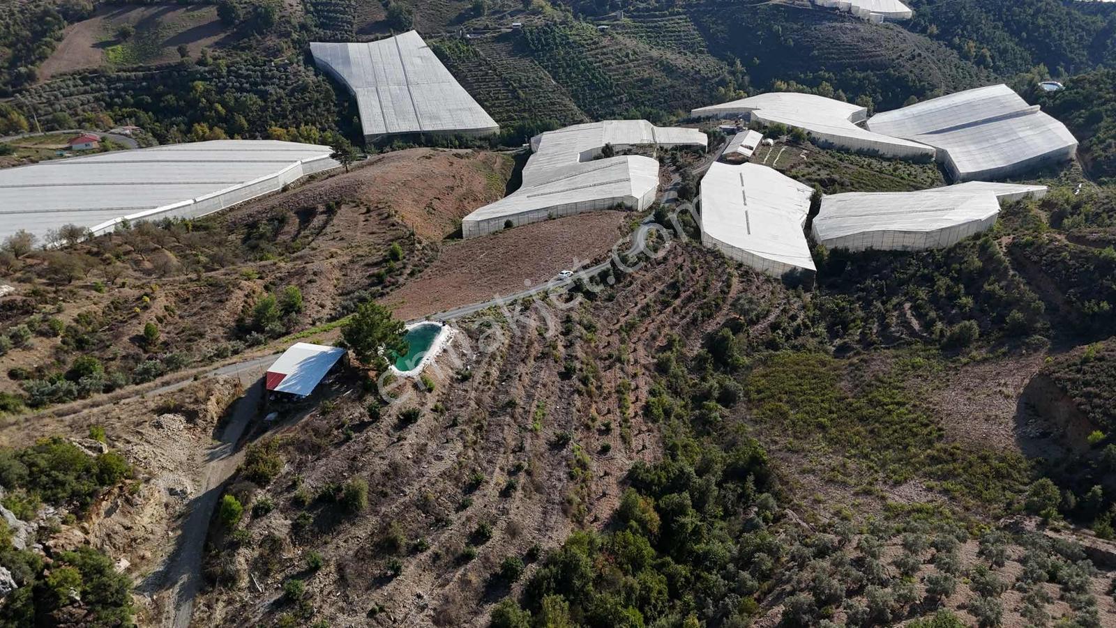 Alanya Gazipaşa 40 Dönüm Satılık Sera Ve Tarla — fotoğraf 7