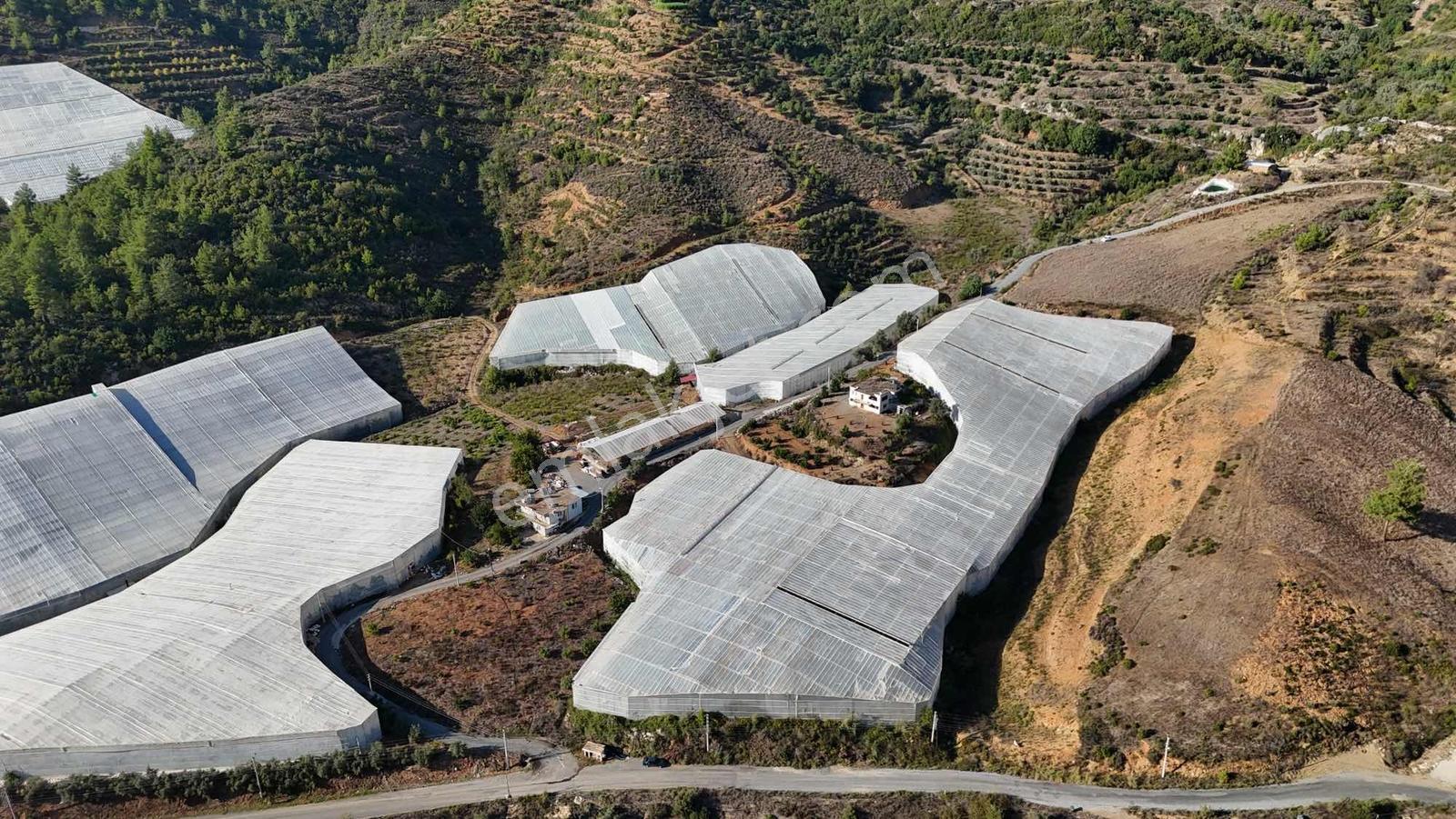 Alanya Gazipaşa 40 Dönüm Satılık Sera Ve Tarla — fotoğraf 8