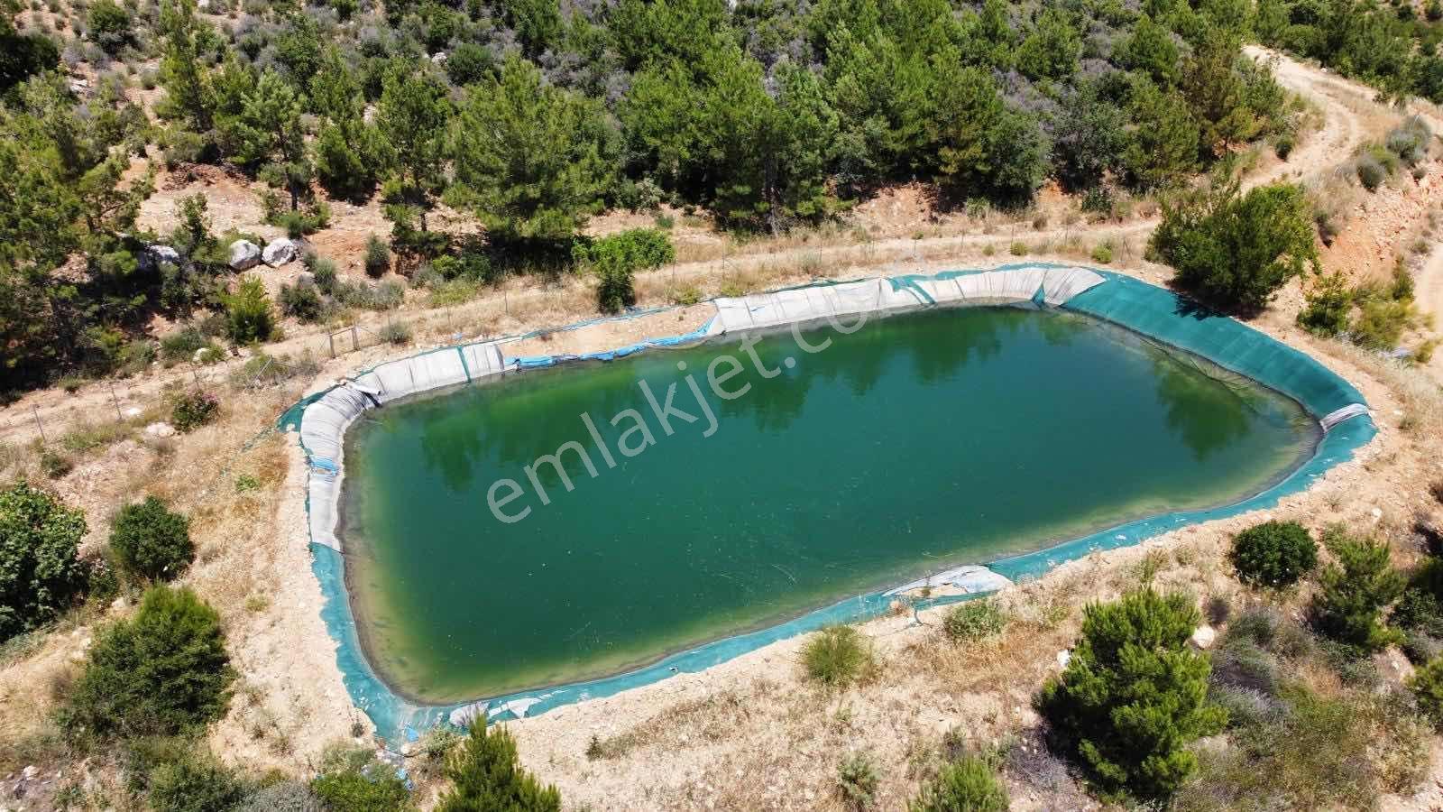 Guven Yatırım'dan Gülnar Korucukta Verimli Kayısı Bahçesi — fotoğraf 9