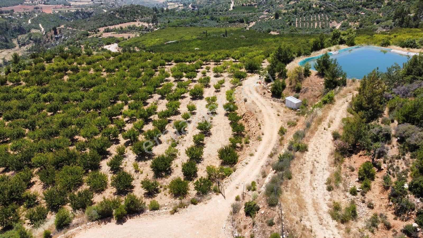Guven Yatırım'dan Gülnar Korucukta Verimli Kayısı Bahçesi — fotoğraf 13