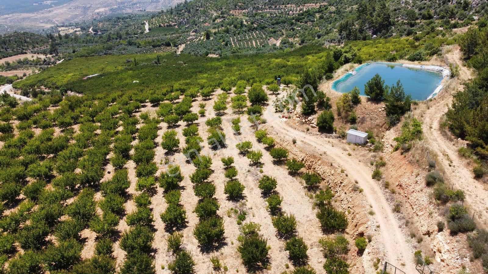 Guven Yatırım'dan Gülnar Korucukta Verimli Kayısı Bahçesi — fotoğraf 14