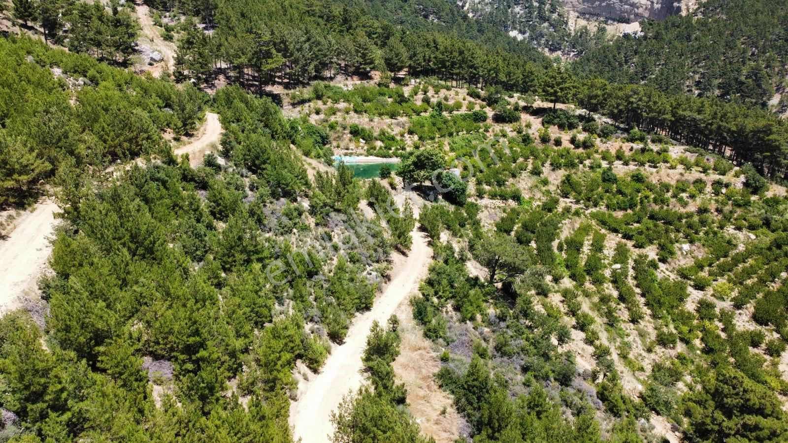 Guven Yatırım'dan Gülnar Korucukta Verimli Kayısı Bahçesi — fotoğraf 15