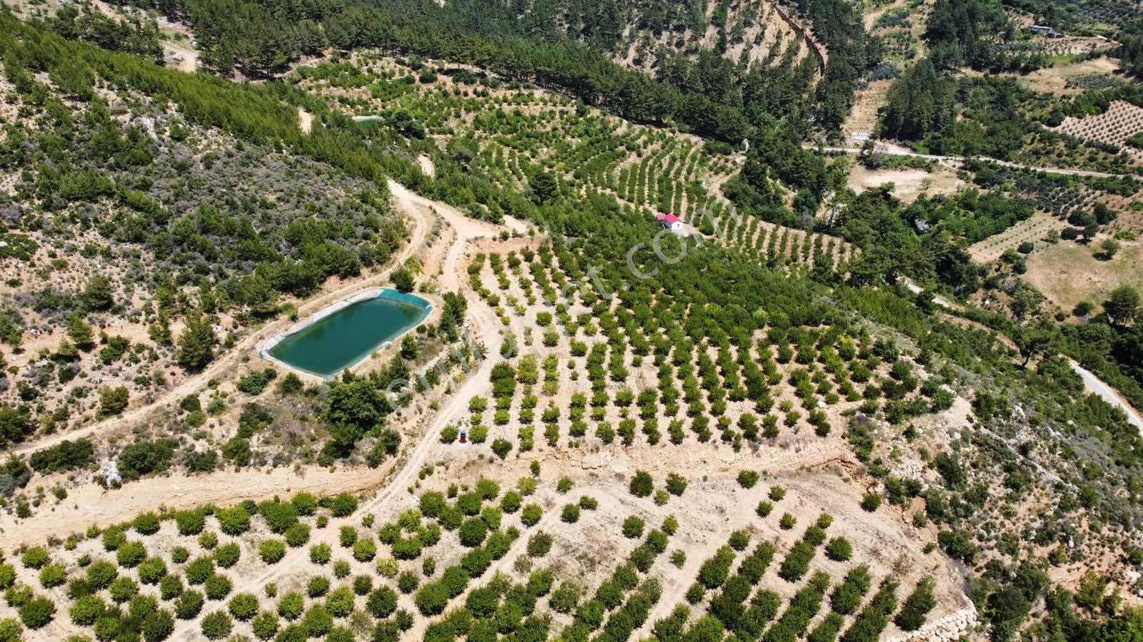 Guven Yatırım'dan Gülnar Korucukta Verimli Kayısı Bahçesi — fotoğraf 18