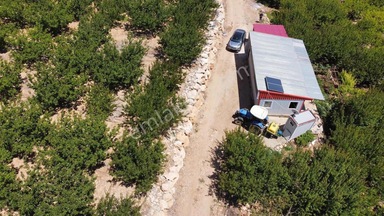 Guven Yatırım'dan Gülnar Korucukta Verimli Kayısı Bahçesi — fotoğraf 28