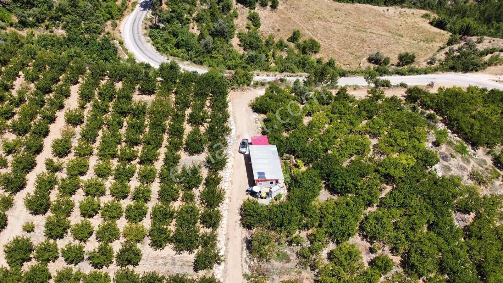 Guven Yatırım'dan Gülnar Korucukta Verimli Kayısı Bahçesi — fotoğraf 29