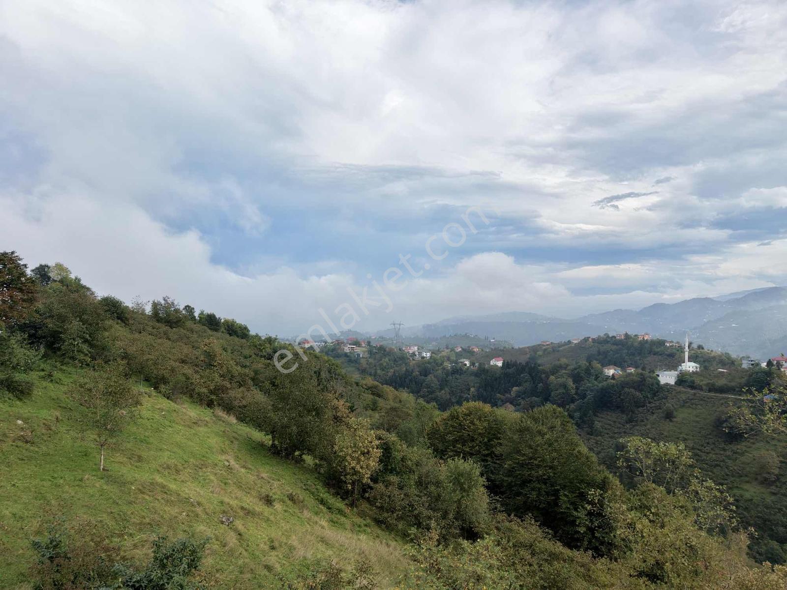 Ortahisar Yeşilyurt'ta Satılık 4772 M2 Deniz Manzaralı Arsa — fotoğraf 17