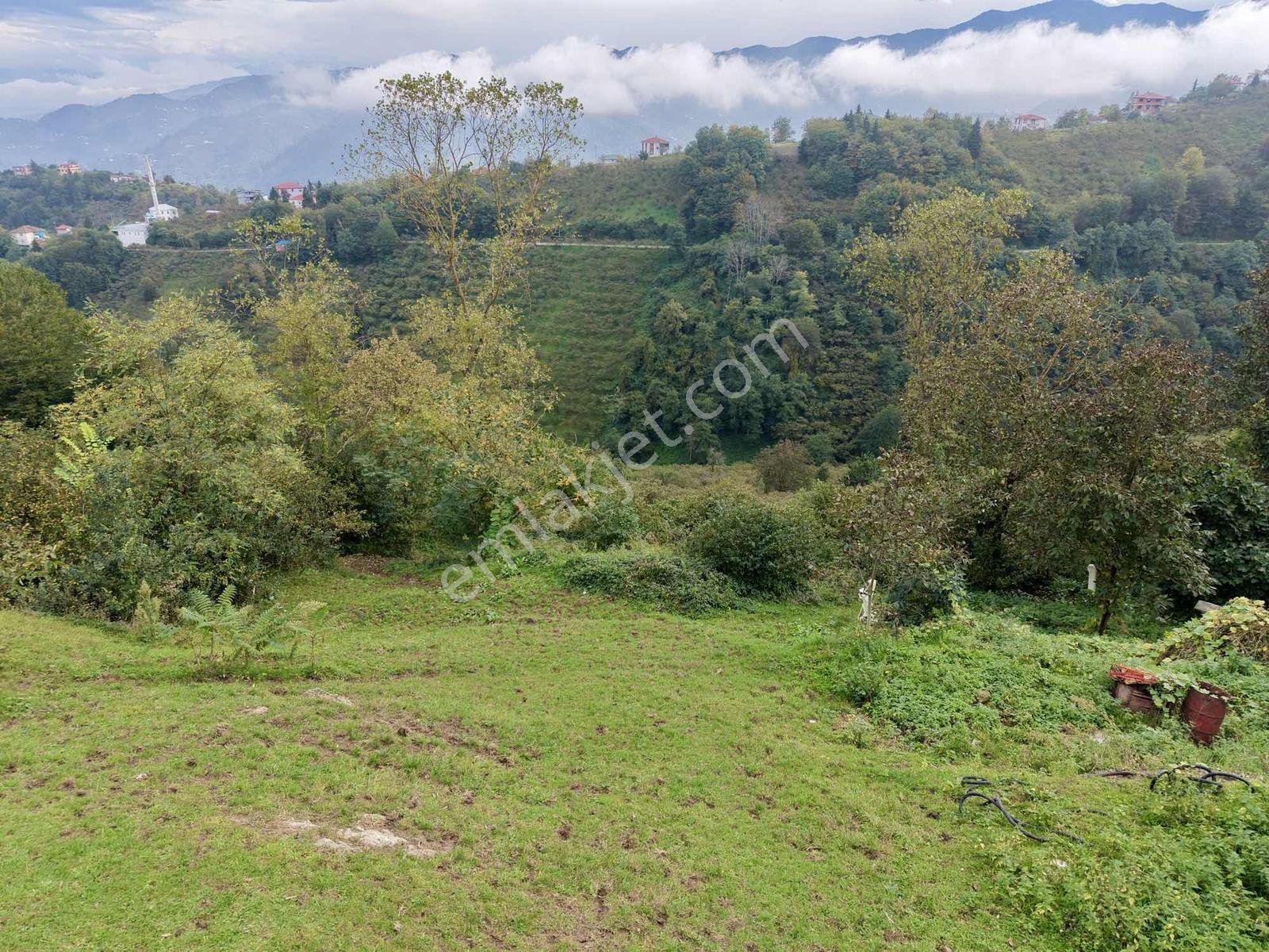 Ortahisar Yeşilyurt'ta Satılık 4772 M2 Deniz Manzaralı Arsa — fotoğraf 18