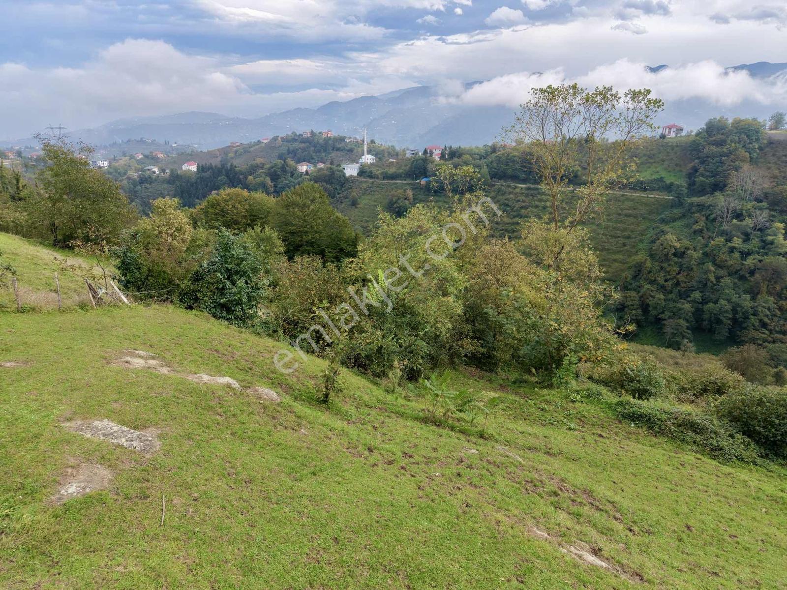 Ortahisar Yeşilyurt'ta Satılık 4772 M2 Deniz Manzaralı Arsa — fotoğraf 19
