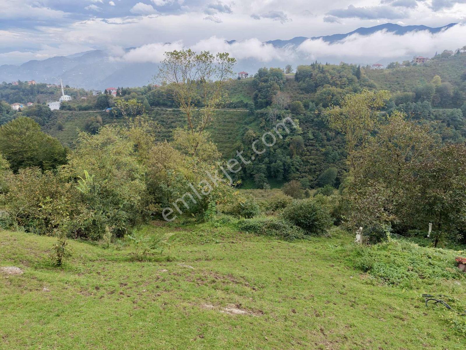 Ortahisar Yeşilyurt'ta Satılık 4772 M2 Deniz Manzaralı Arsa — fotoğraf 20