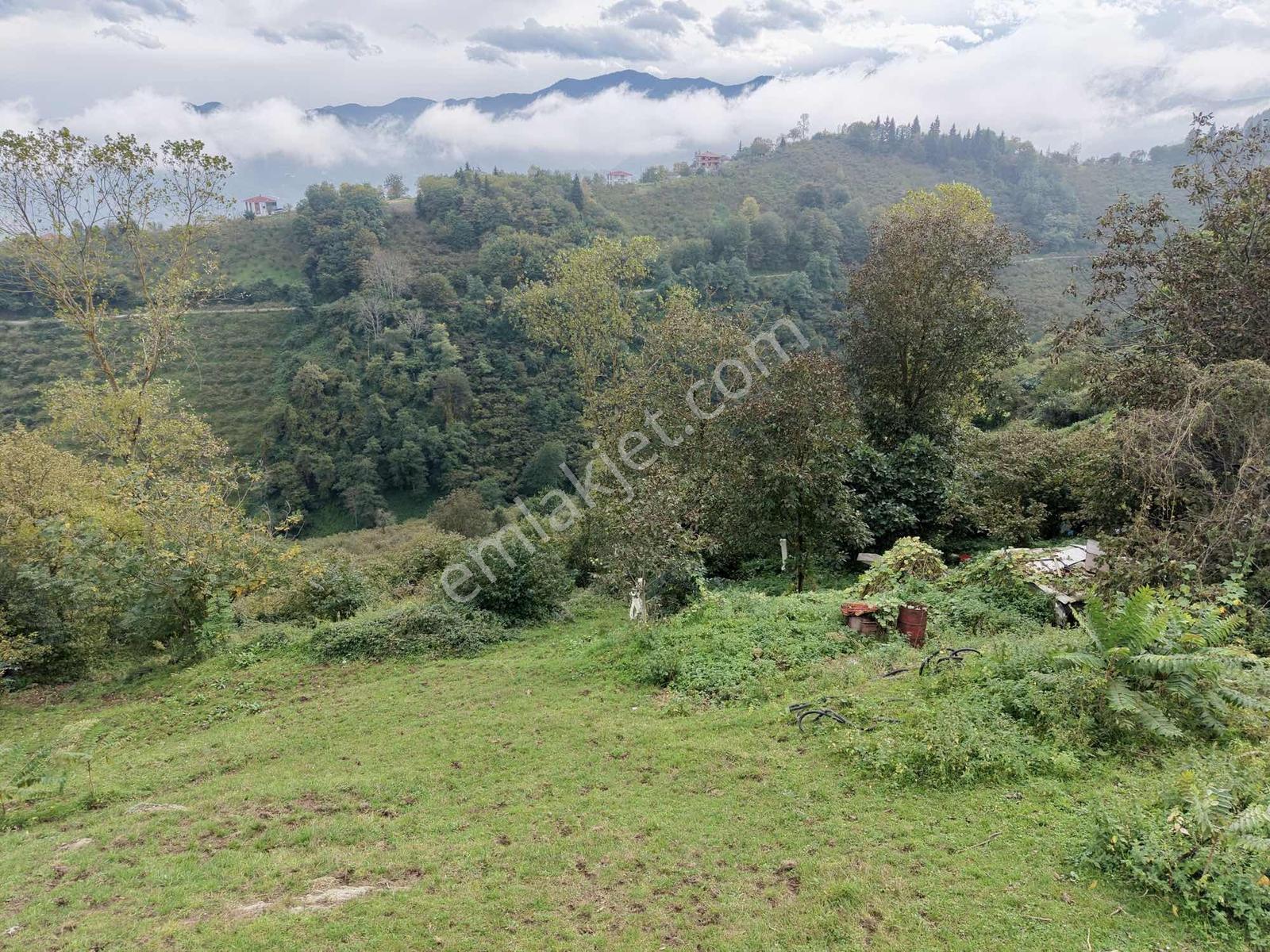 Ortahisar Yeşilyurt'ta Satılık 4772 M2 Deniz Manzaralı Arsa — fotoğraf 21