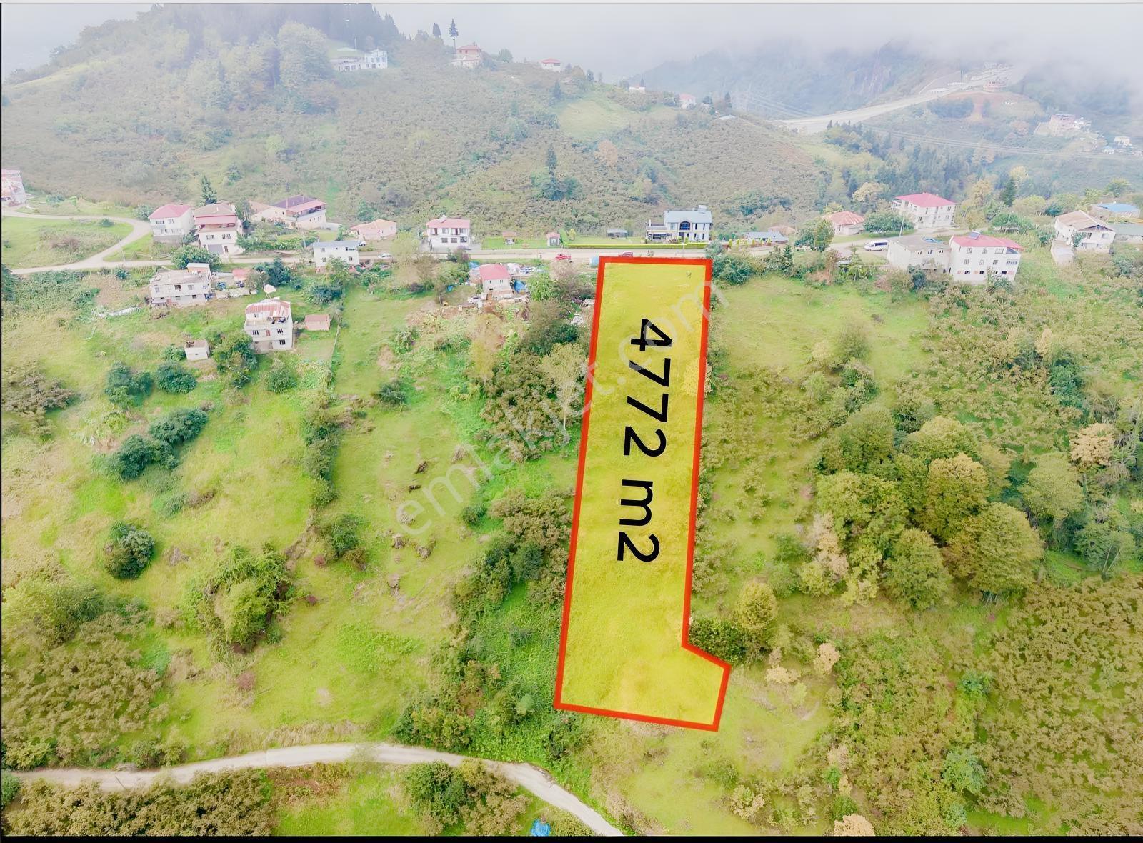 Ortahisar Yeşilyurt'ta Satılık 4772 M2 Deniz Manzaralı Arsa — fotoğraf 22