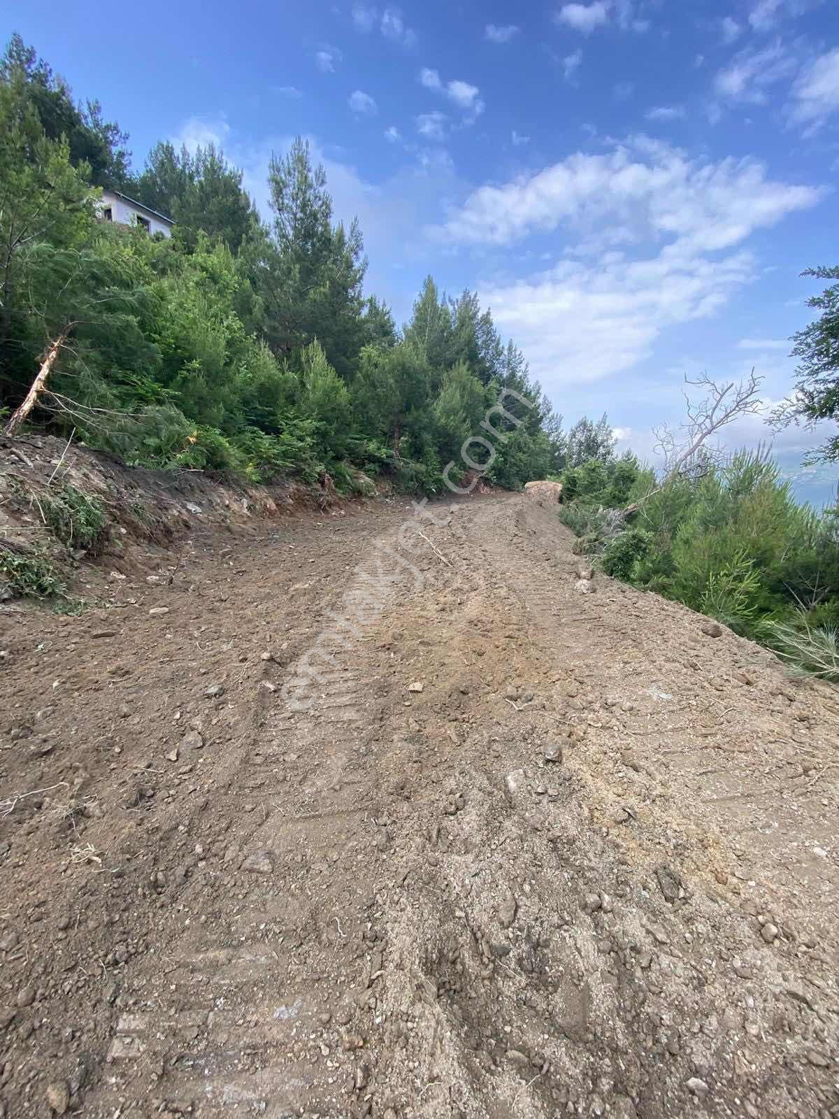 Alanya Merkeze 15 Km Mesafede 1.191 M2 Tarla — fotoğraf 3