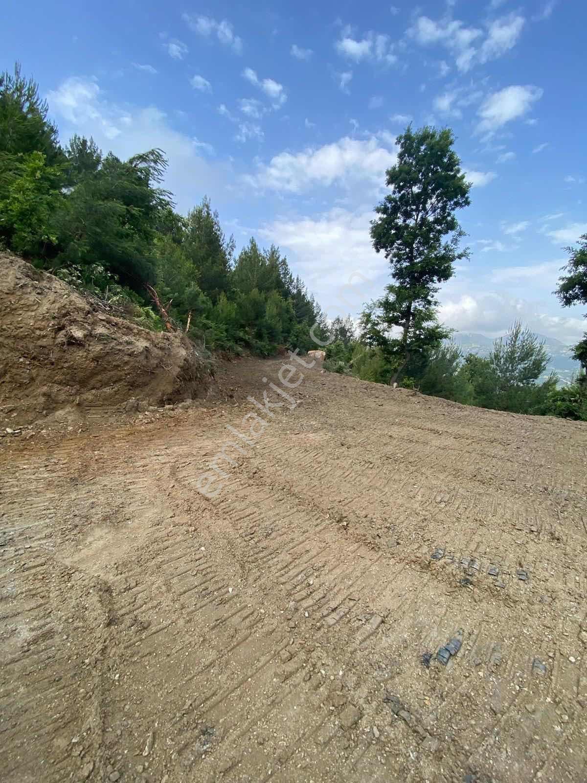 Alanya Merkeze 15 Km Mesafede 1.191 M2 Tarla — fotoğraf 6