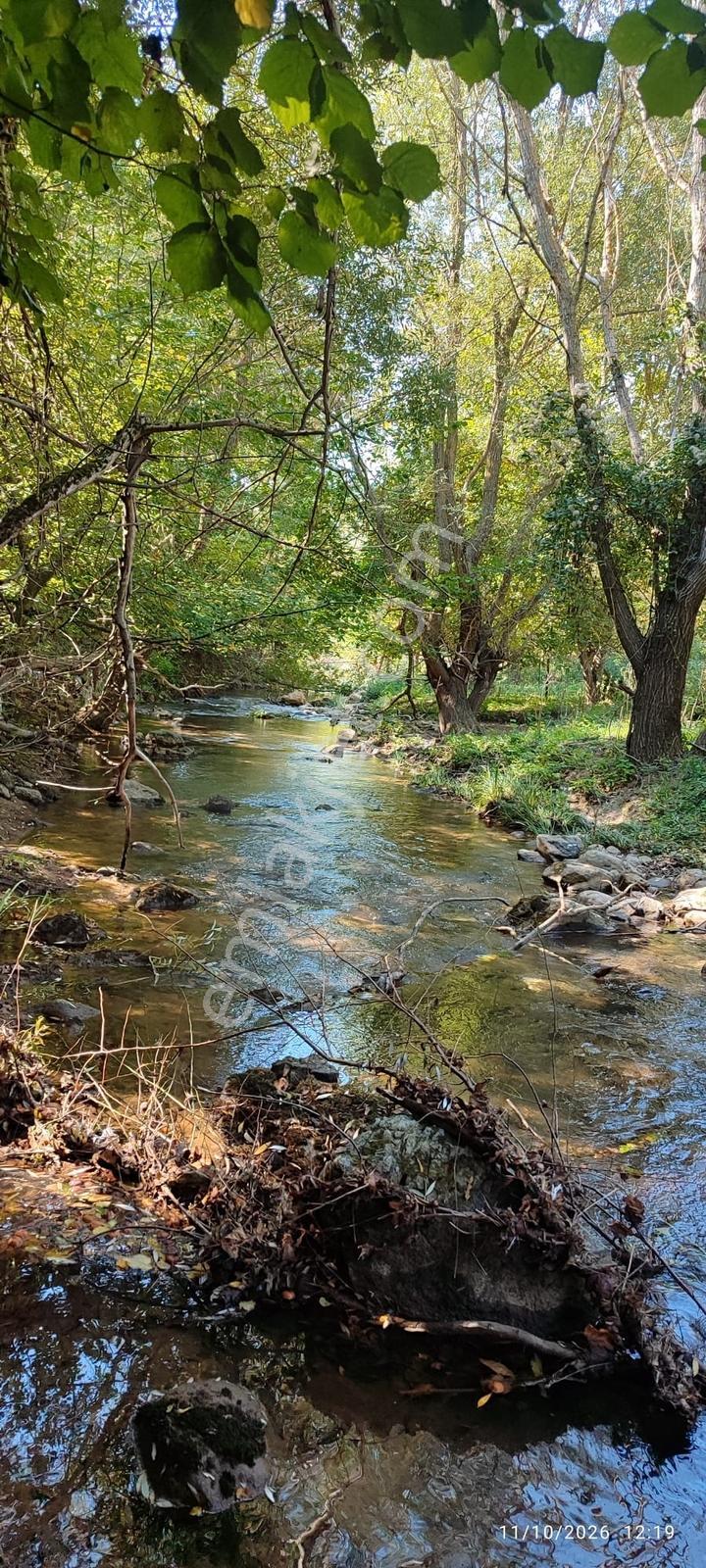 İznik Gürmüzlüde 3 Adet Yol Ve Dereye Cephe/toplam 880 M²tarla — fotoğraf 2