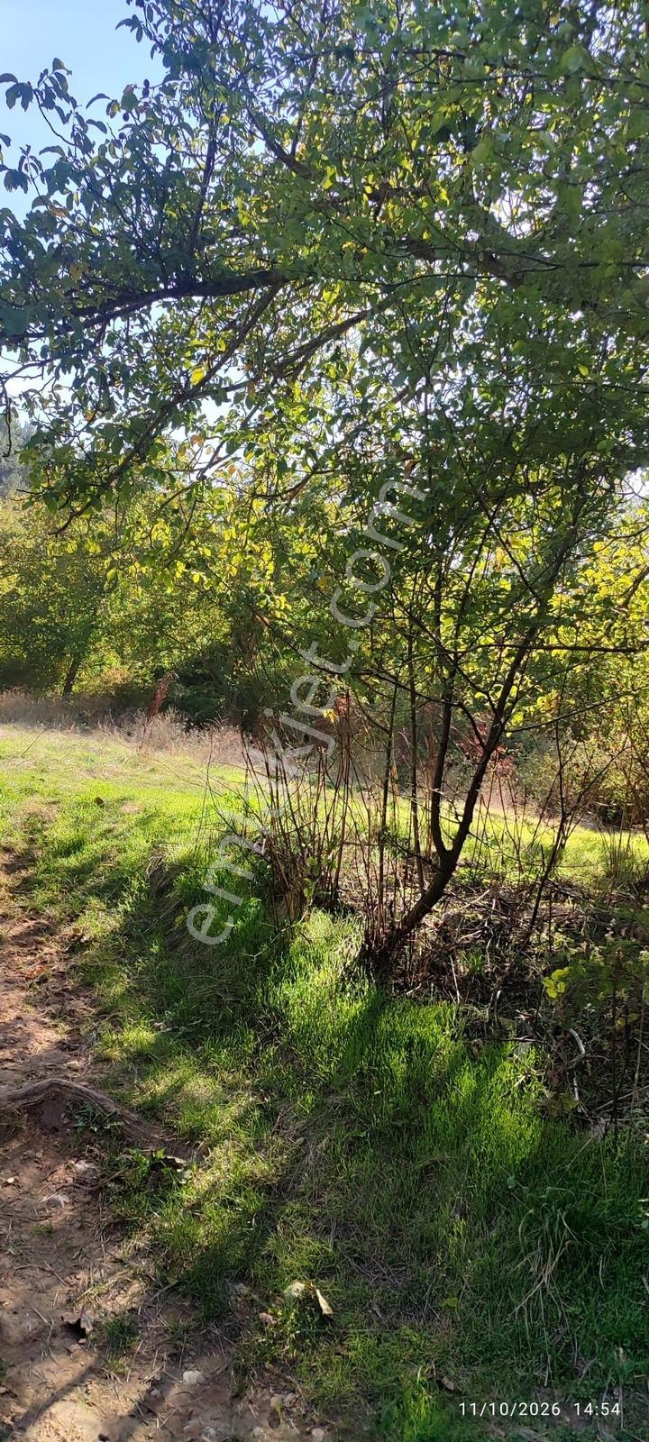 İznik Gürmüzlüde 3 Adet Yol Ve Dereye Cephe/toplam 880 M²tarla — fotoğraf 3