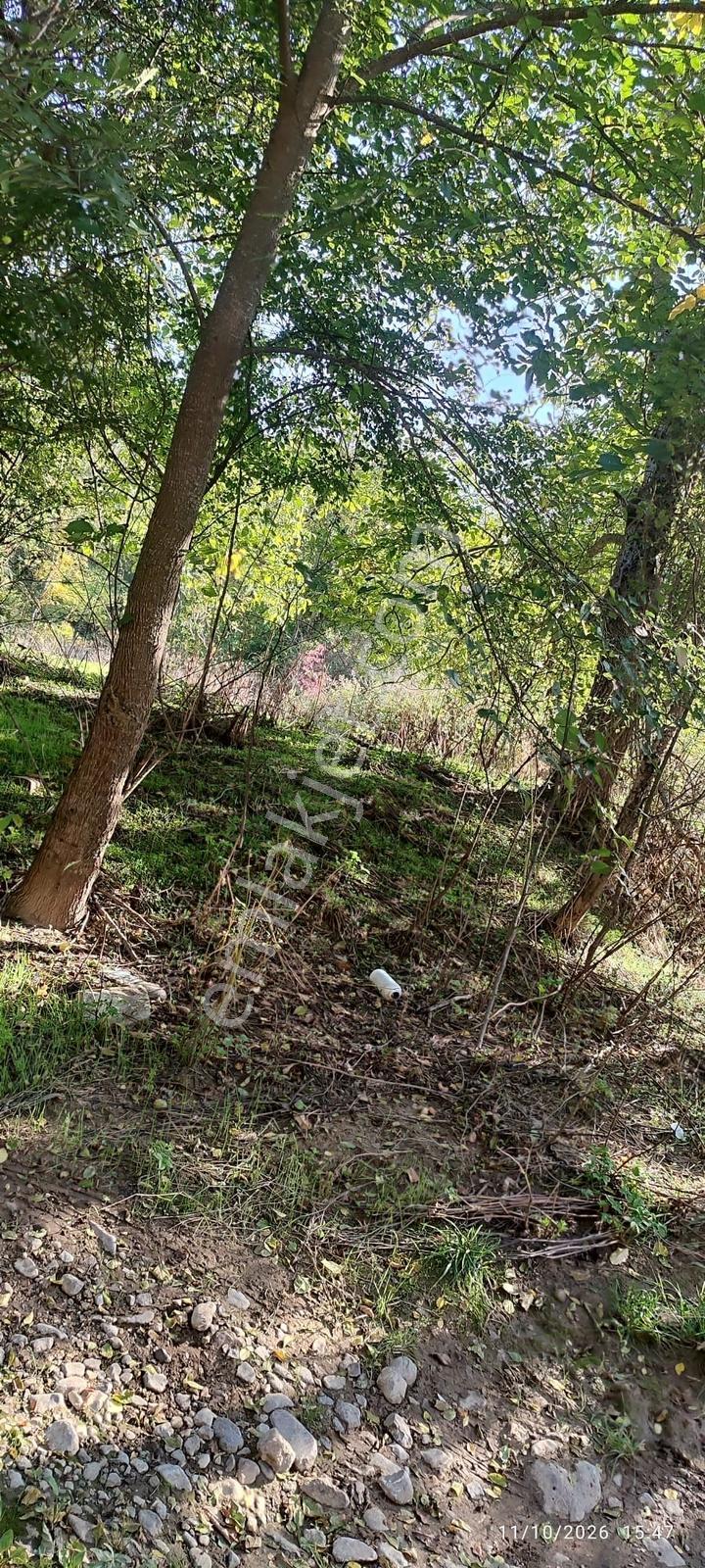 İznik Gürmüzlüde 3 Adet Yol Ve Dereye Cephe/toplam 880 M²tarla — fotoğraf 4