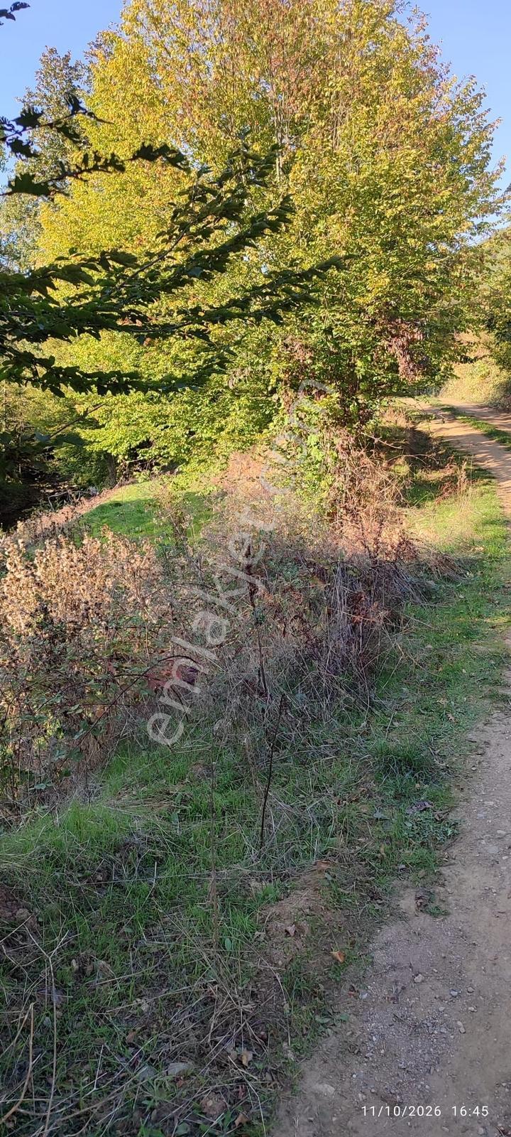 İznik Gürmüzlüde 3 Adet Yol Ve Dereye Cephe/toplam 880 M²tarla — fotoğraf 5