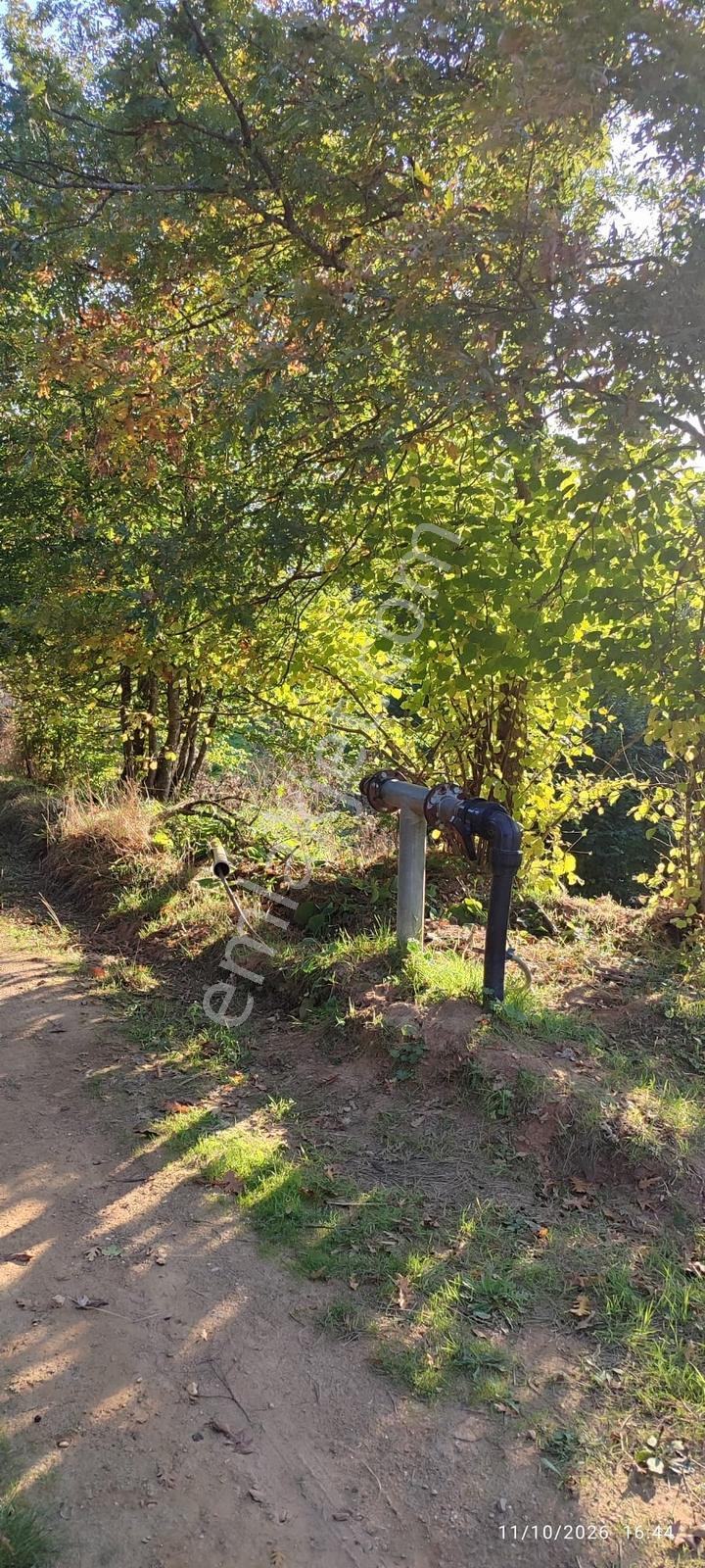 İznik Gürmüzlüde 3 Adet Yol Ve Dereye Cephe/toplam 880 M²tarla — fotoğraf 6