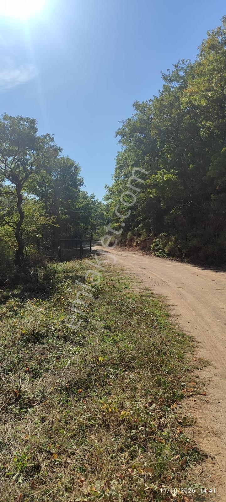 İznik Gürmüzlüde 3 Adet Yol Ve Dereye Cephe/toplam 880 M²tarla — fotoğraf 8