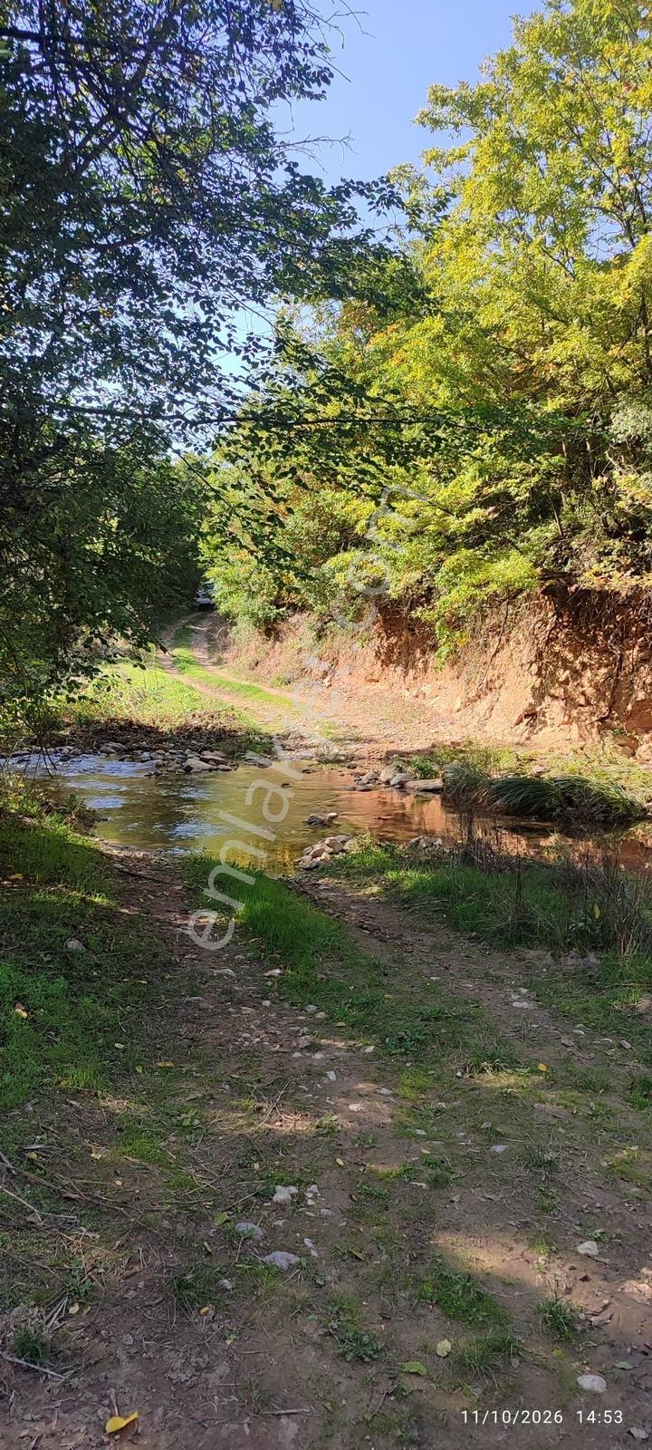 İznik Gürmüzlüde 3 Adet Yol Ve Dereye Cephe/toplam 880 M²tarla — fotoğraf 12