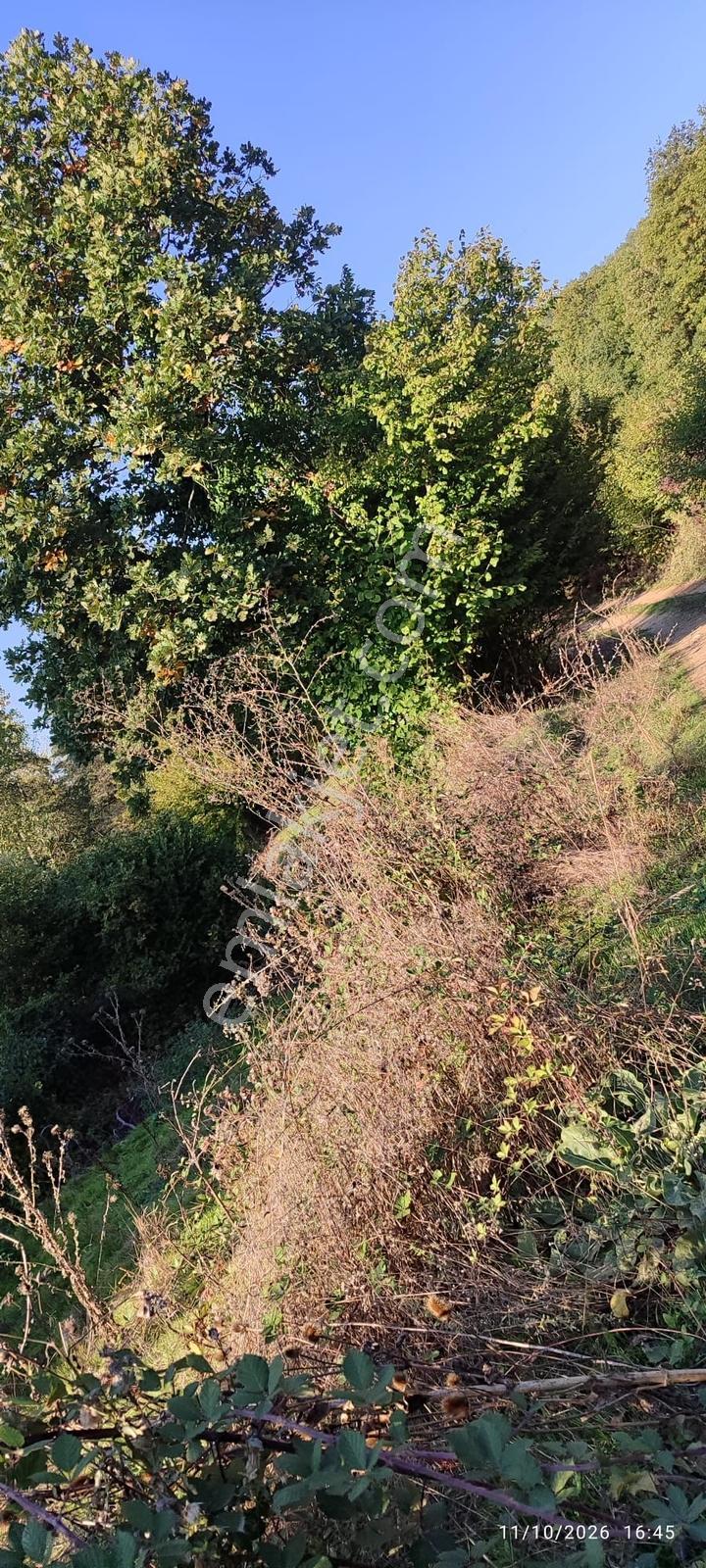İznik Gürmüzlüde 3 Adet Yol Ve Dereye Cephe/toplam 880 M²tarla — fotoğraf 13