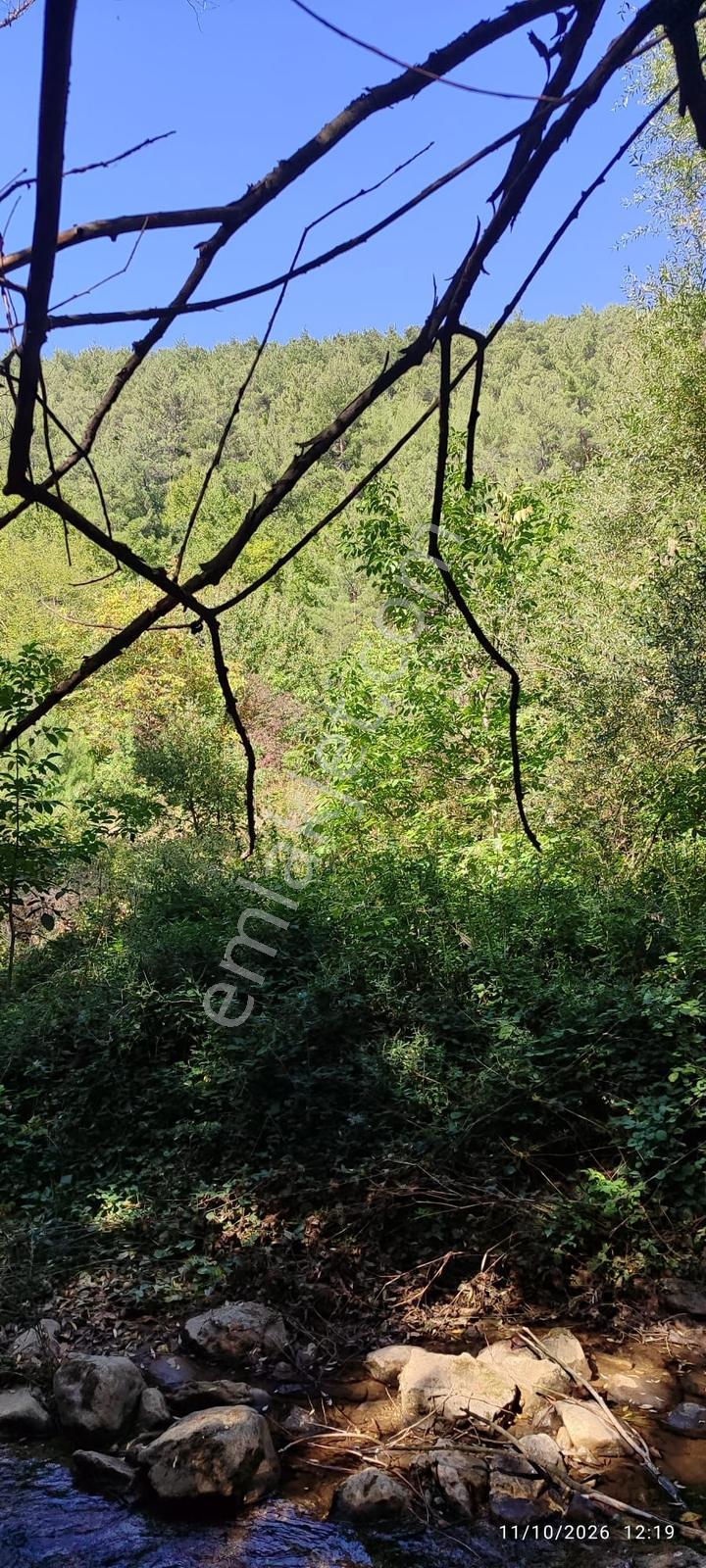 İznik Gürmüzlüde 3 Adet Yol Ve Dereye Cephe/toplam 880 M²tarla — fotoğraf 14