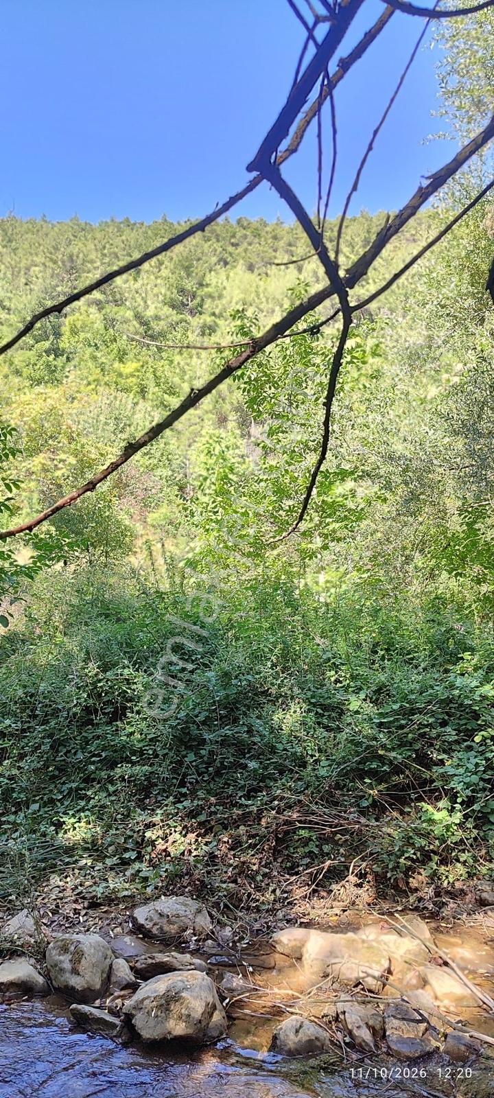 İznik Gürmüzlüde 3 Adet Yol Ve Dereye Cephe/toplam 880 M²tarla — fotoğraf 15