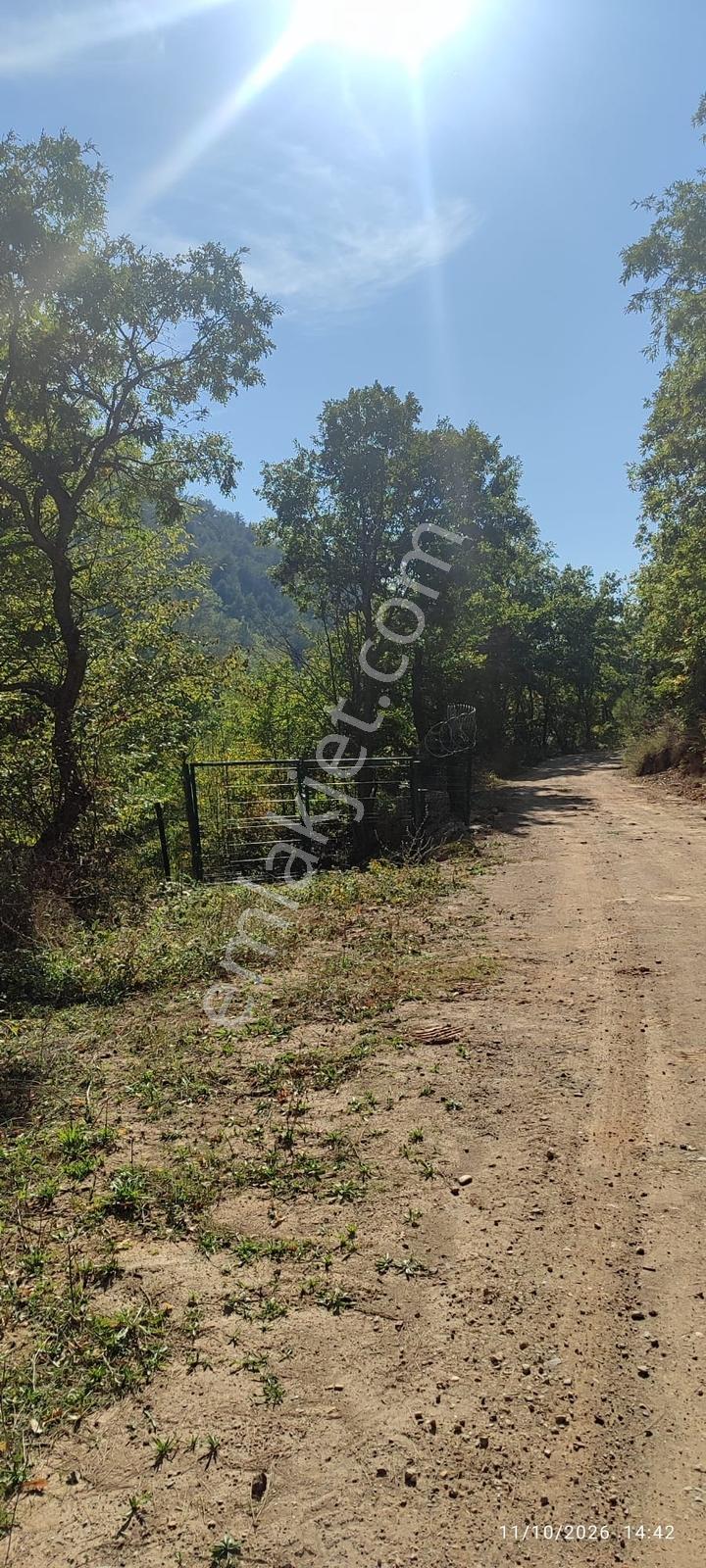 İznik Gürmüzlüde 3 Adet Yol Ve Dereye Cephe/toplam 880 M²tarla — fotoğraf 16