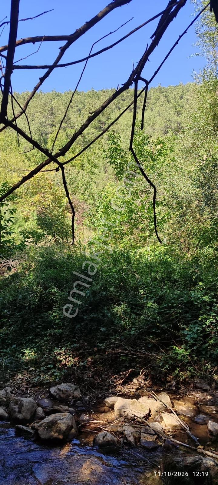İznik Gürmüzlüde 3 Adet Yol Ve Dereye Cephe/toplam 880 M²tarla — fotoğraf 17
