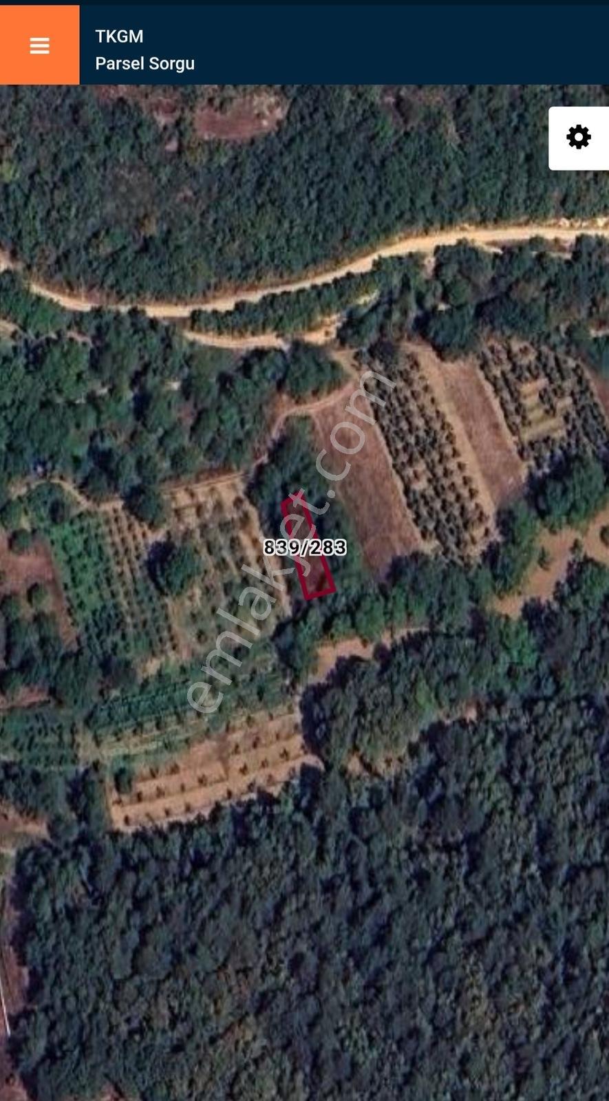 İznik Gürmüzlüde 3 Adet Yol Ve Dereye Cephe/toplam 880 M²tarla — fotoğraf 21