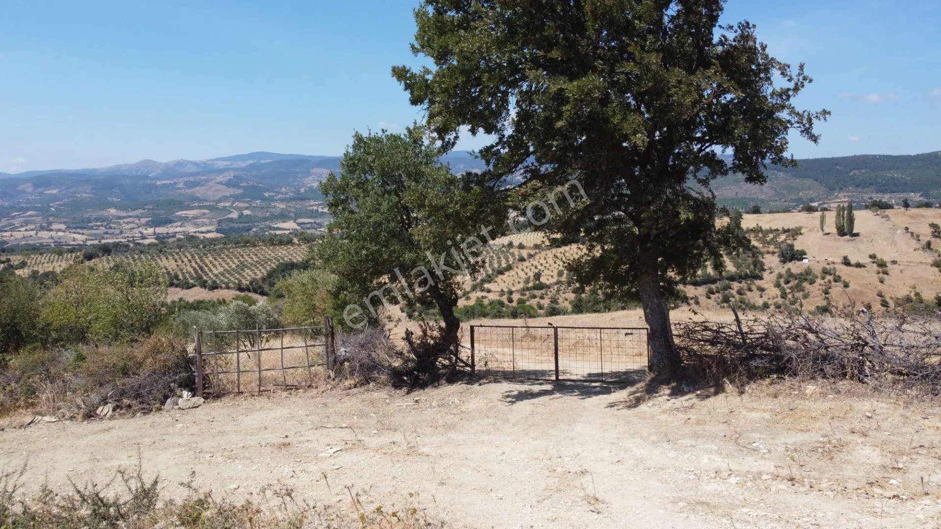 Üzmez Gayrimenkuldan İneşir Köyünde 16900 M2 Satılık Tarla — fotoğraf 4